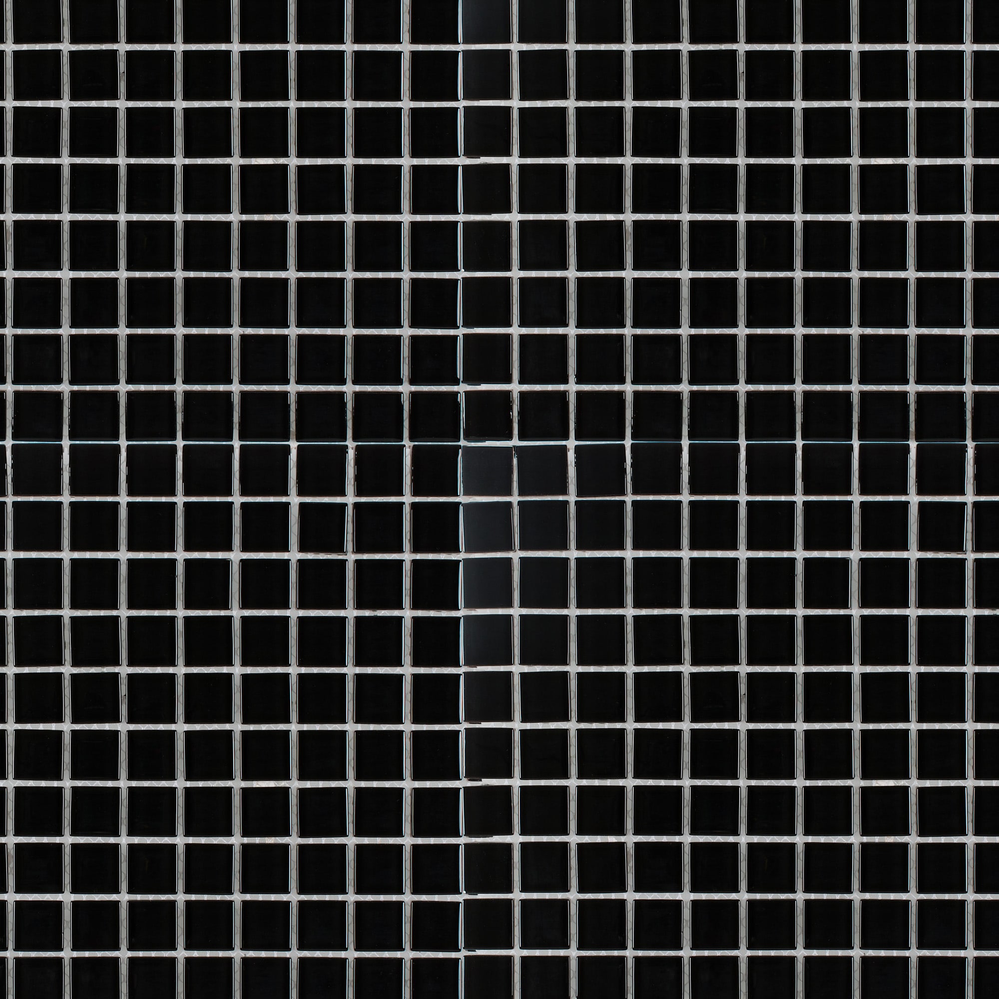 Elida Ceramica LW230131012 Nero 12-in x 12-in Glossy Glass Uniform Squares Wall Tile (10.34-sq. ft/ Carton)
