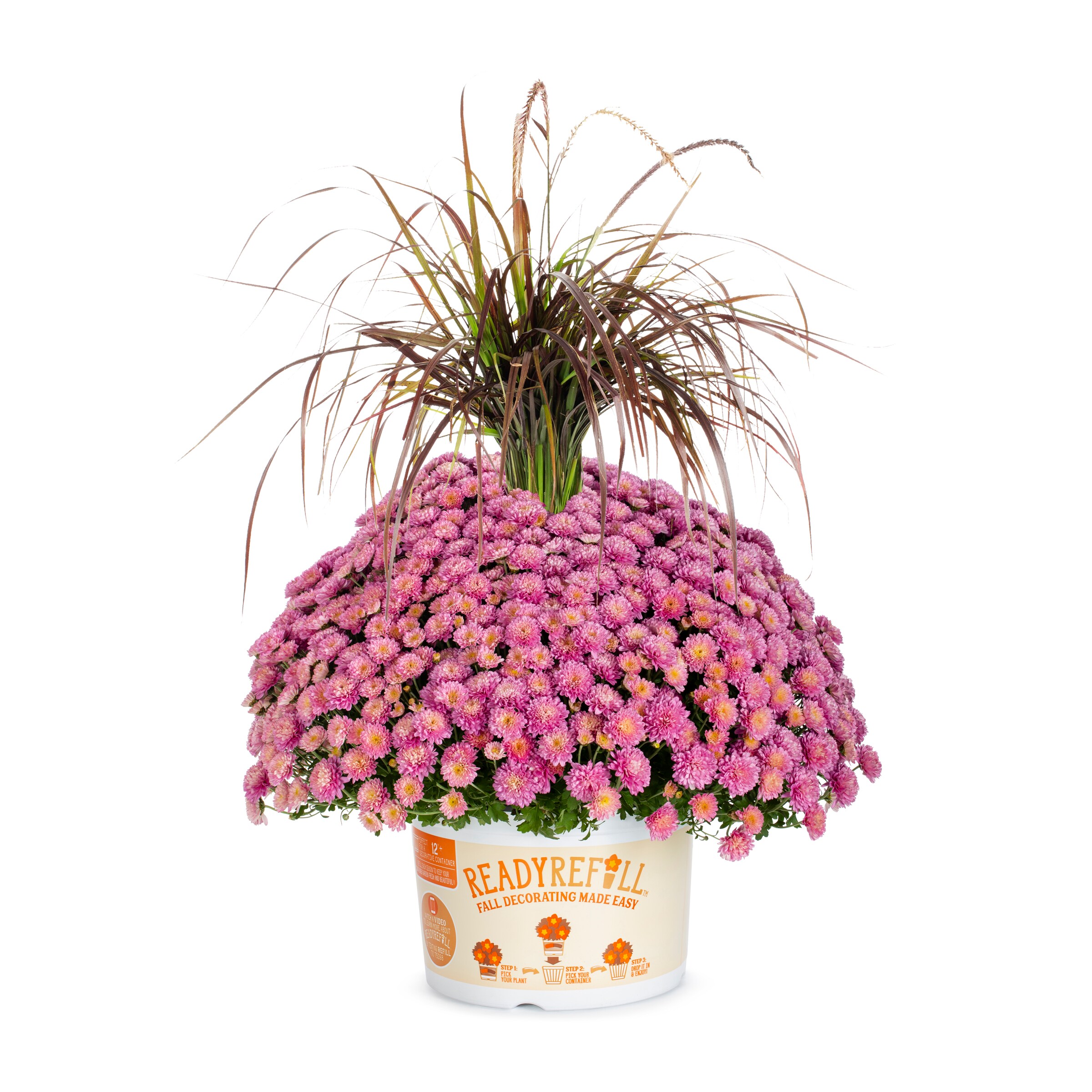  NURSERY annuals - View #4