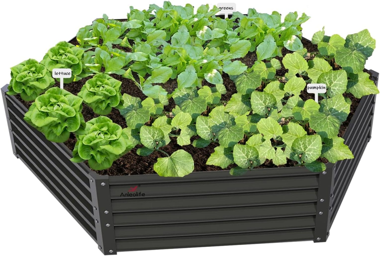 Damerin RBSZYYX-09 30-cu ft 60-in W x 70-in L x 18-in H Quartz Grey Metal Raised Garden Bed