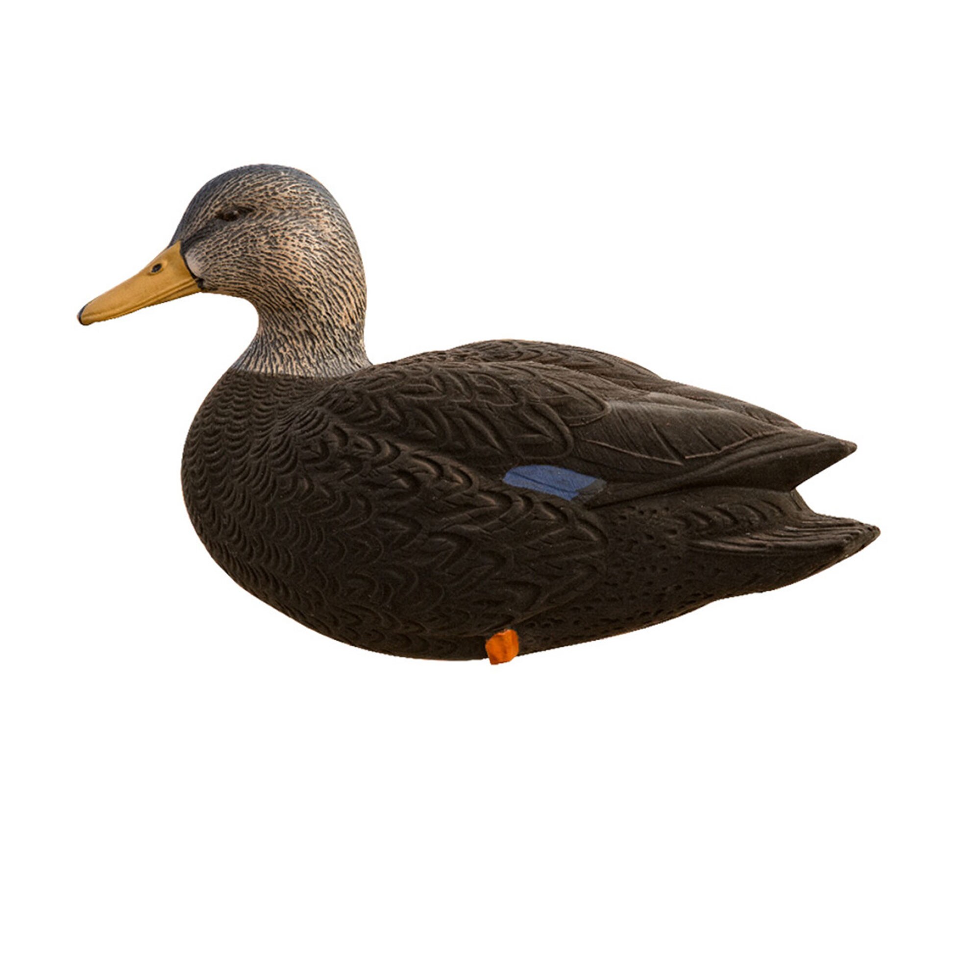  Avian X 399265 Hunting-Equipment - View #9