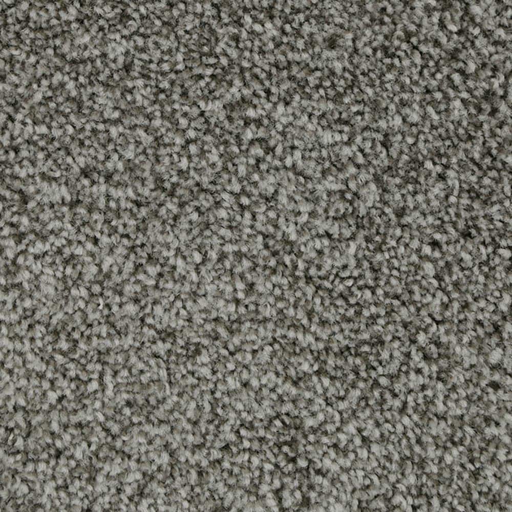 STAINMASTER STP51-15-L006 Calming Stride II Truffle Gray 60-oz sq yard Triexta Textured Indoor Carpet