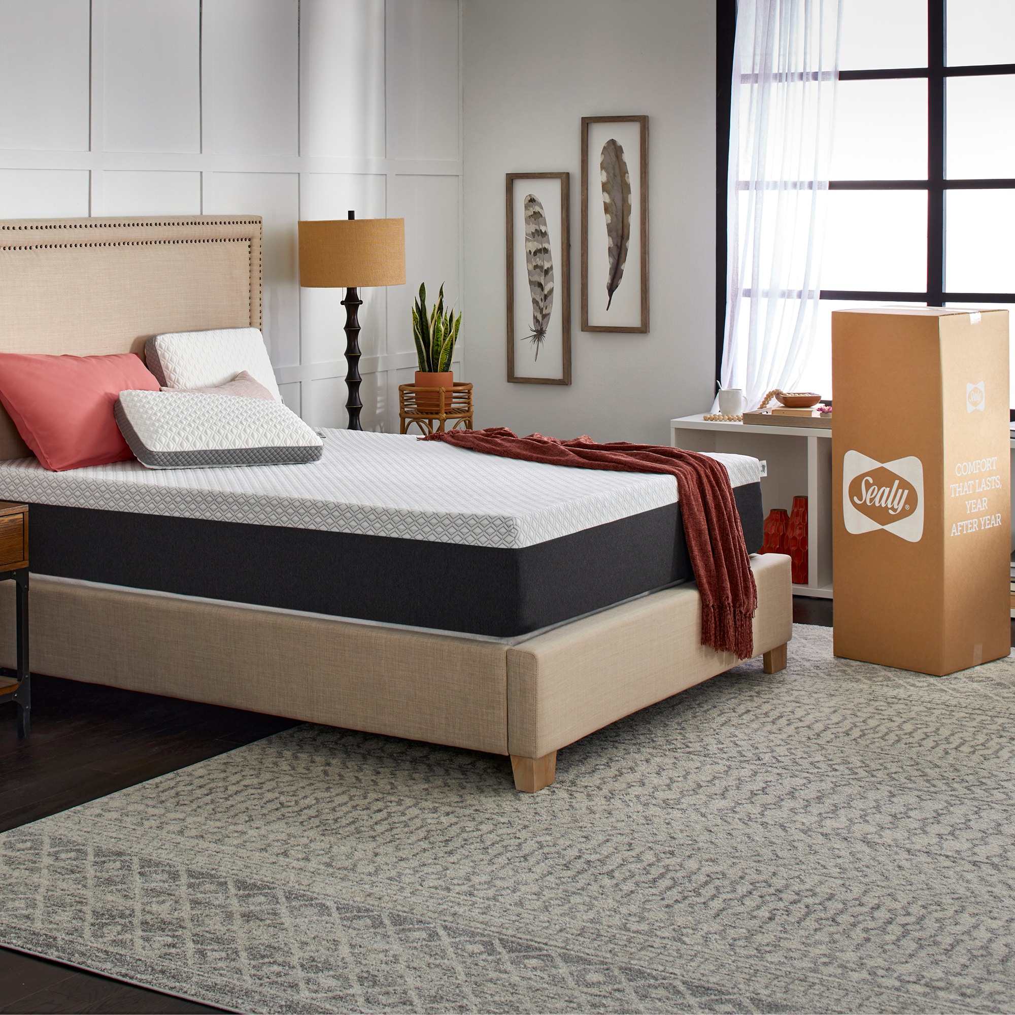 Sealy F03-00180-TX0 Mattresses-Boxsprings - View #11