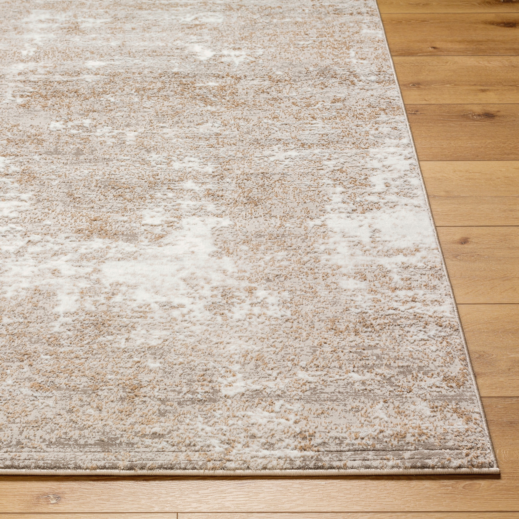 Livabliss ALG2313-71010 rugs - View #4