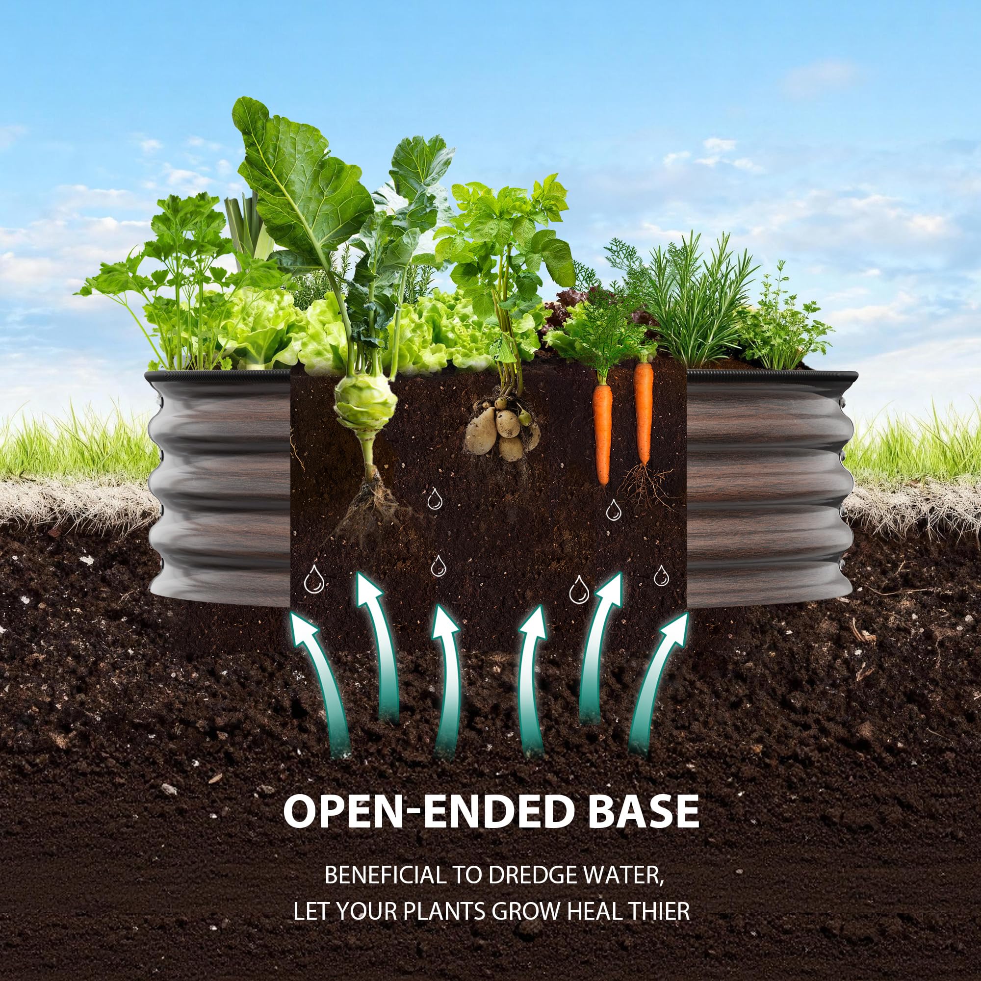 DEXSO ENCOREPPGBA10031 Raised-Garden-Beds - View #3