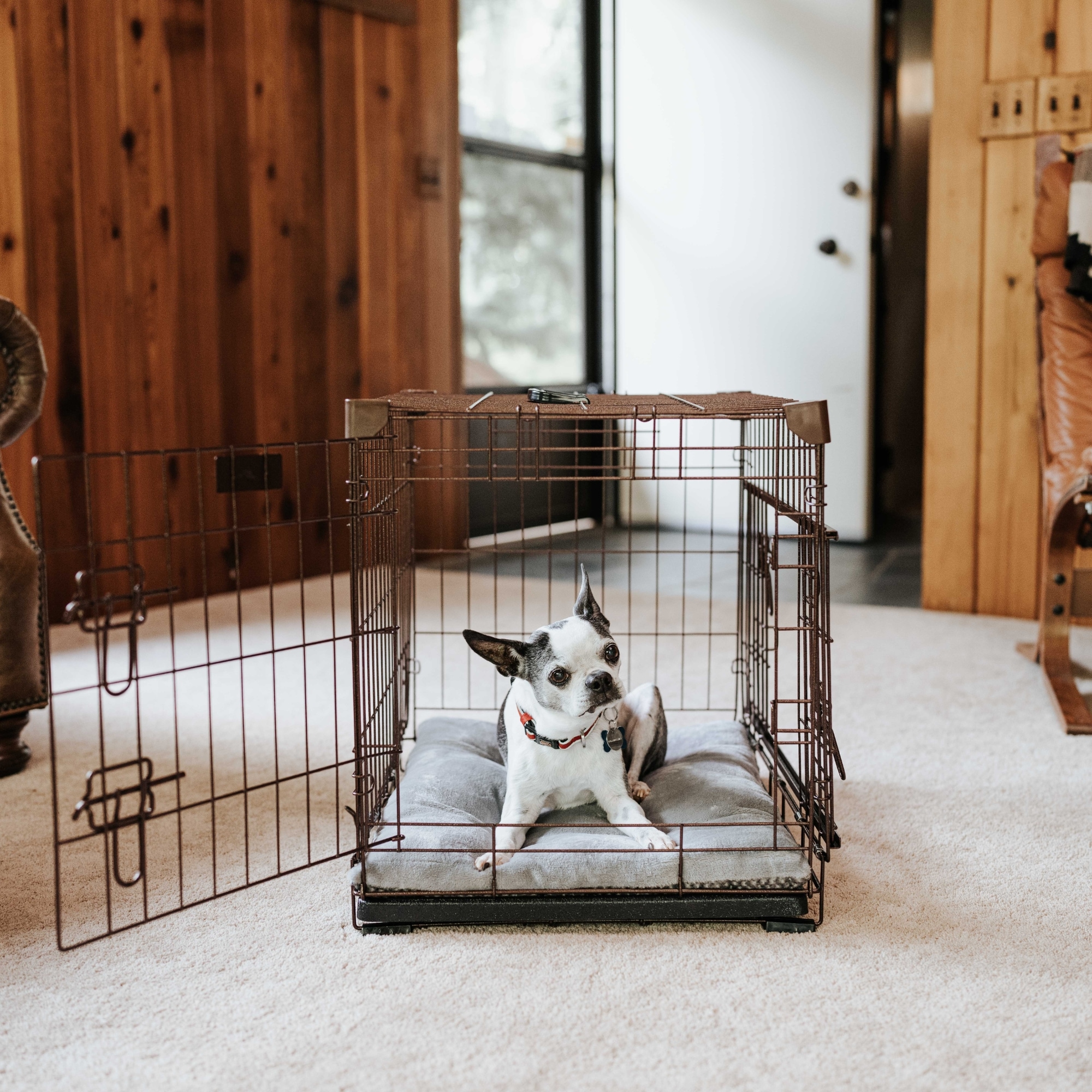 Lucky Dog ZW51524-UR1510 Pet-Crates-Carriers - View #12