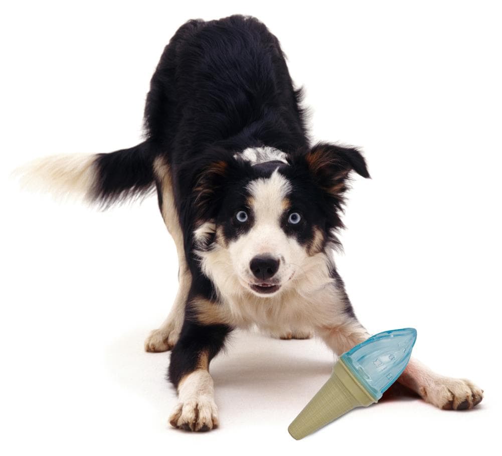 Pet Life DT21BL Dog-Toys - View #2