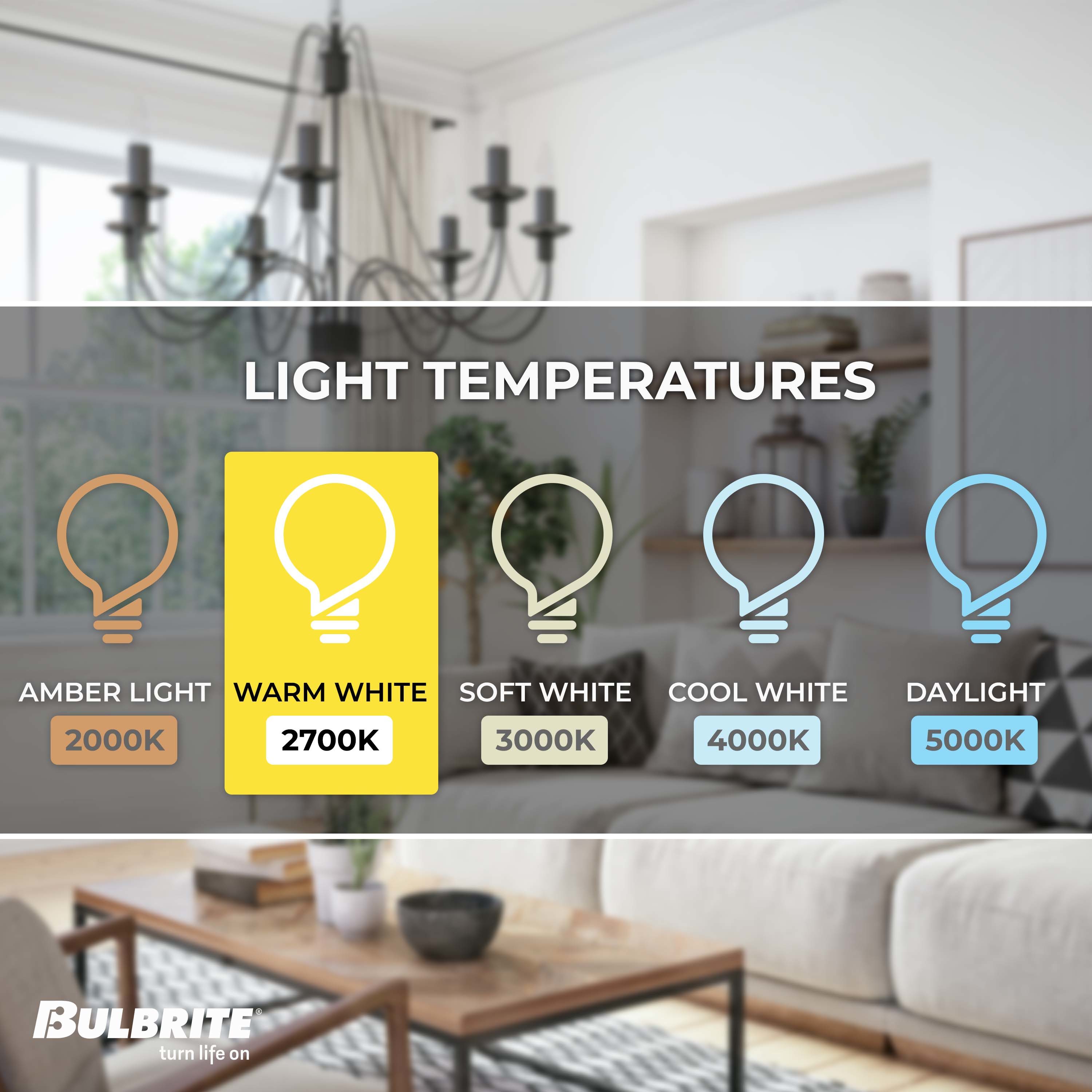 Bulbrite 861584 Dec-Led-Light-Bulbs - View #3
