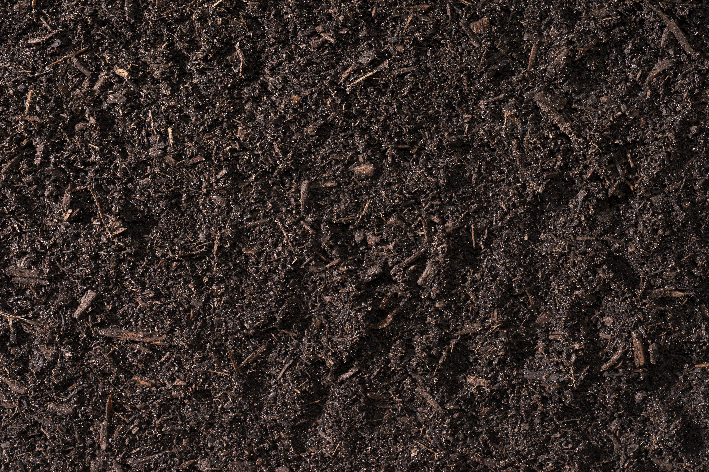 Wakefield Biochar 4216 Soil-Conditioner - View #3