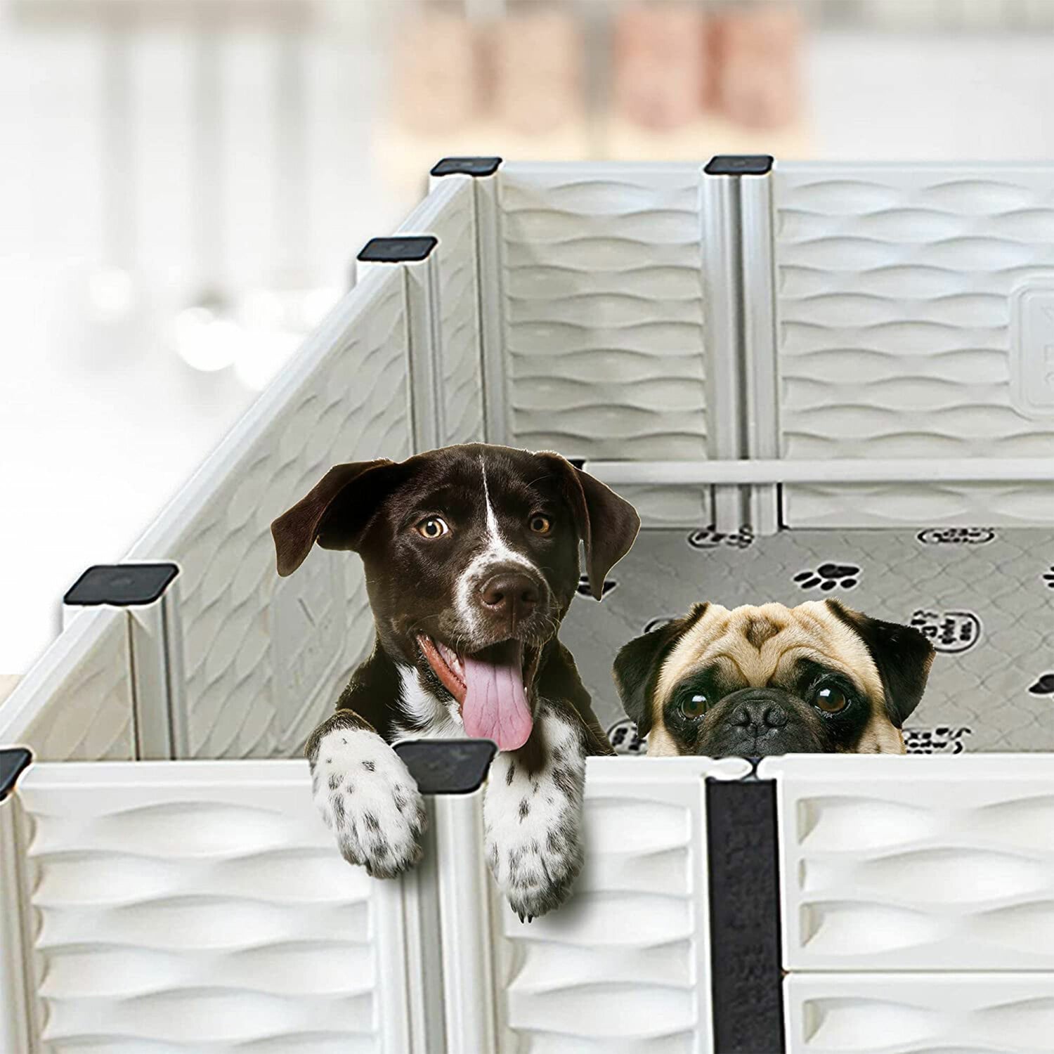 EZwhelp 318557 Pet-Crates-Carriers - View #5