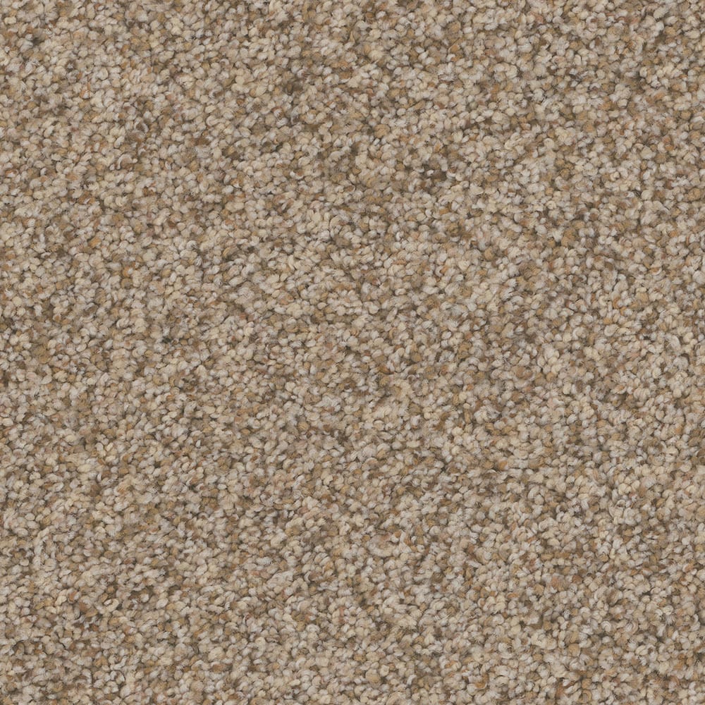 STAINMASTER PetProtect S9055-721-S (Sample) Piedmont Urban Village Brown 55-oz sq yard Nylon Textured Indoor Carpet