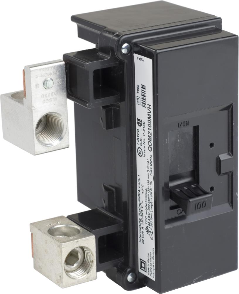 square-d-100-amp-2-pole-main-circuit-breaker-in-the-circuit-breakers