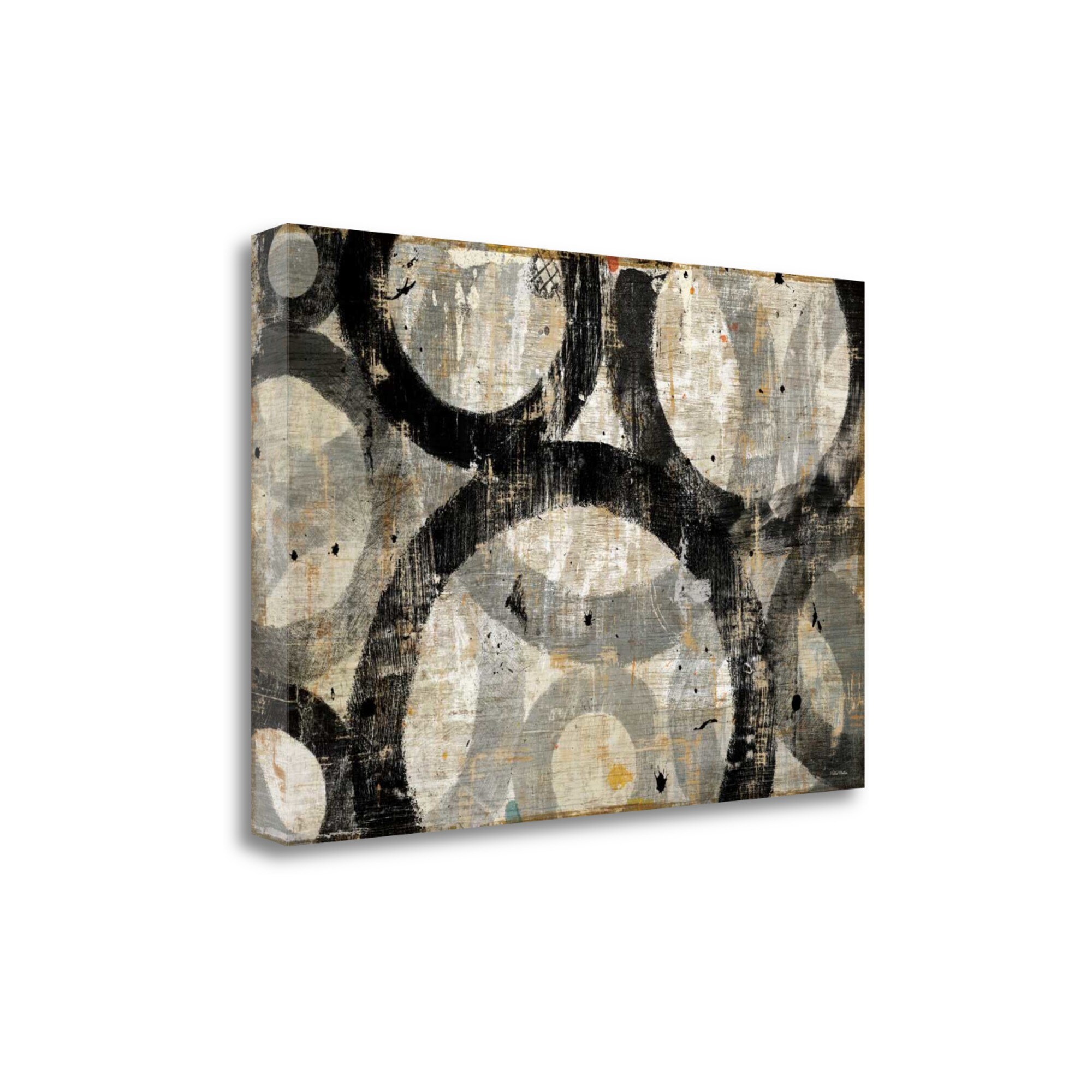 Tangletown Fine Art WA622502-2920C Industrial I Michael Mullan 20-in H x 29-in W Abstract Print on Canvas