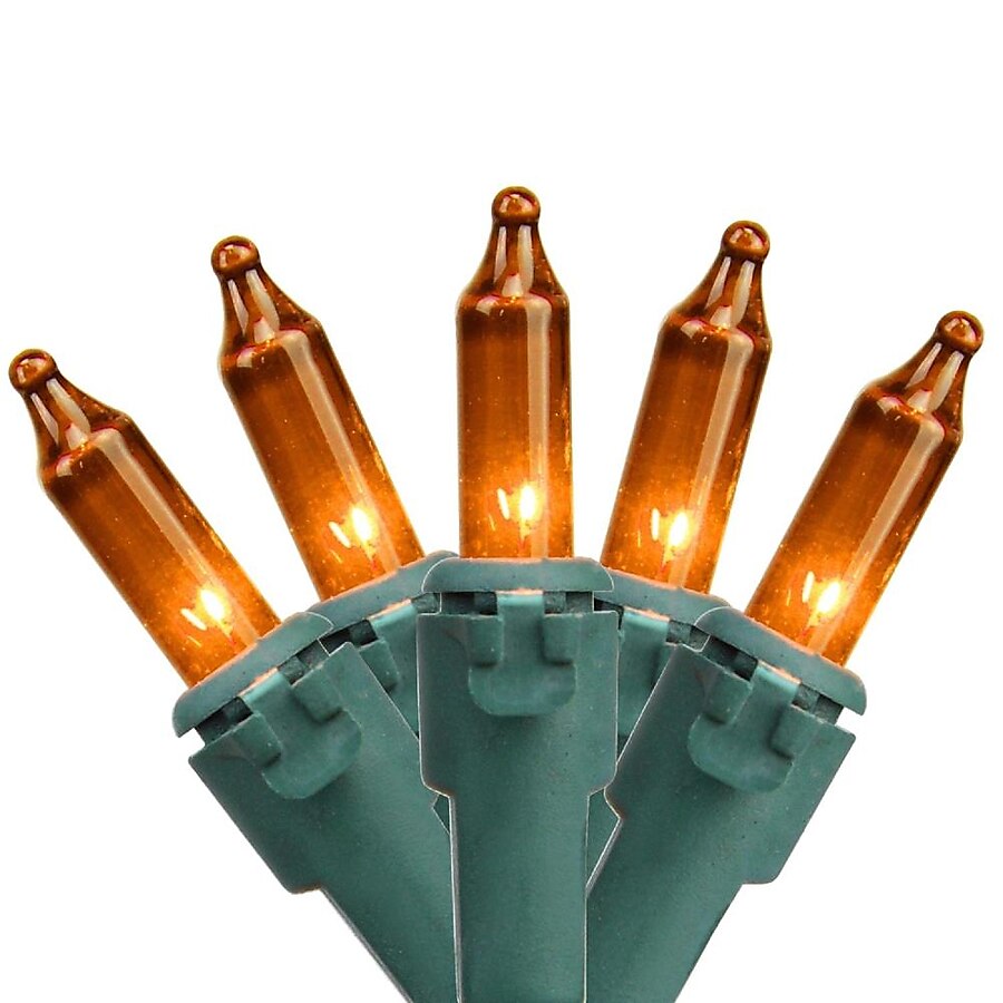 Northlight 120-ft 50-Light Clear Glass-Shade Plug-In Bulbs Incandescent String Lights Northlight 120-ft 50-Light Clear Glass-Shade Plug-In Bulbs Incandescent String Lights