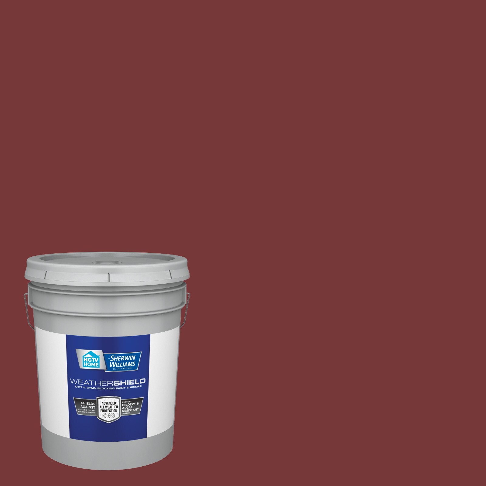 HGTV HOME by Sherwin-Williams Ovation Plus Satin Sumptuous Purple 4010-10  Latex Interior Paint + Primer (1-quart) in the Interior Paint department at