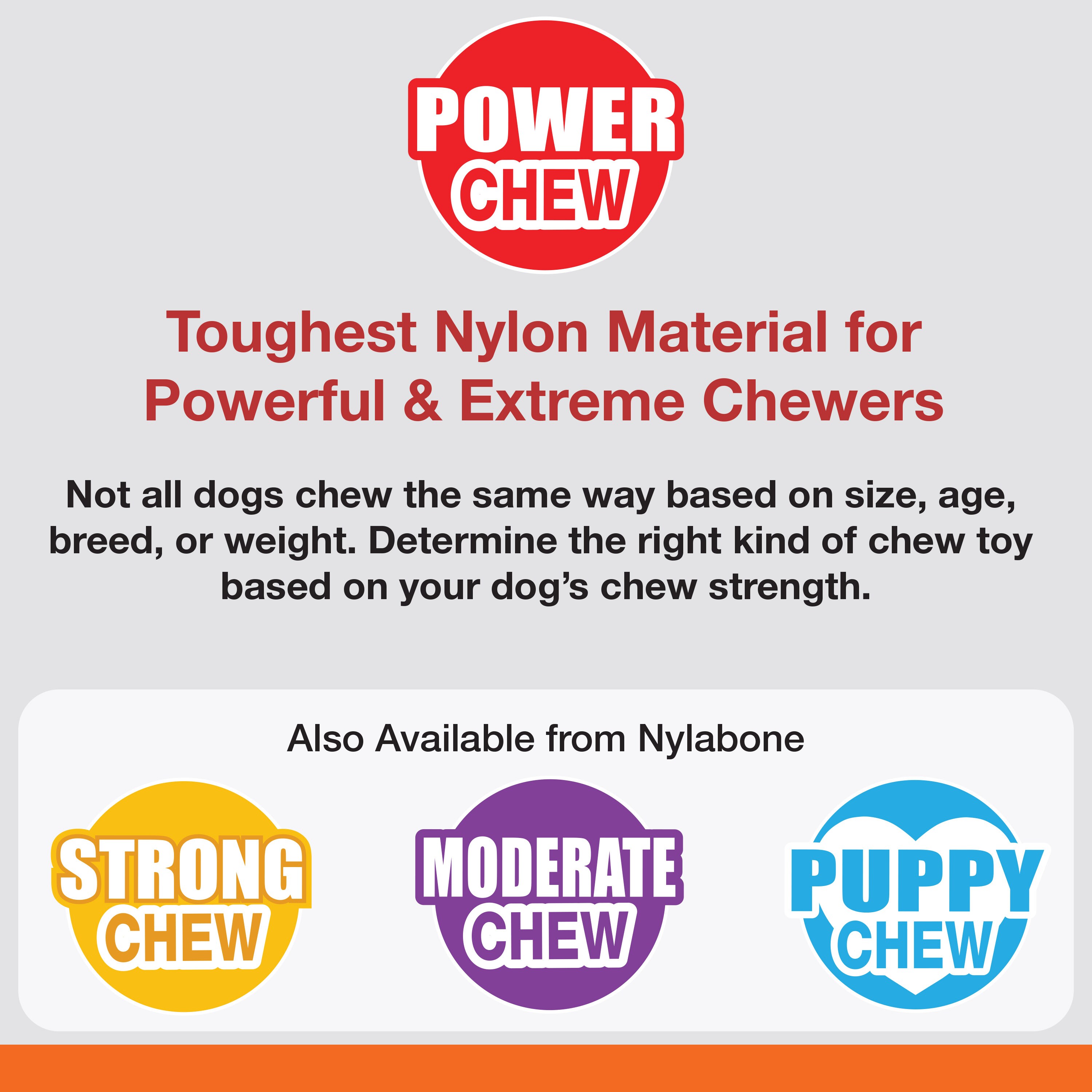 Nylabone NFSB105W Dog-Toys - View #3