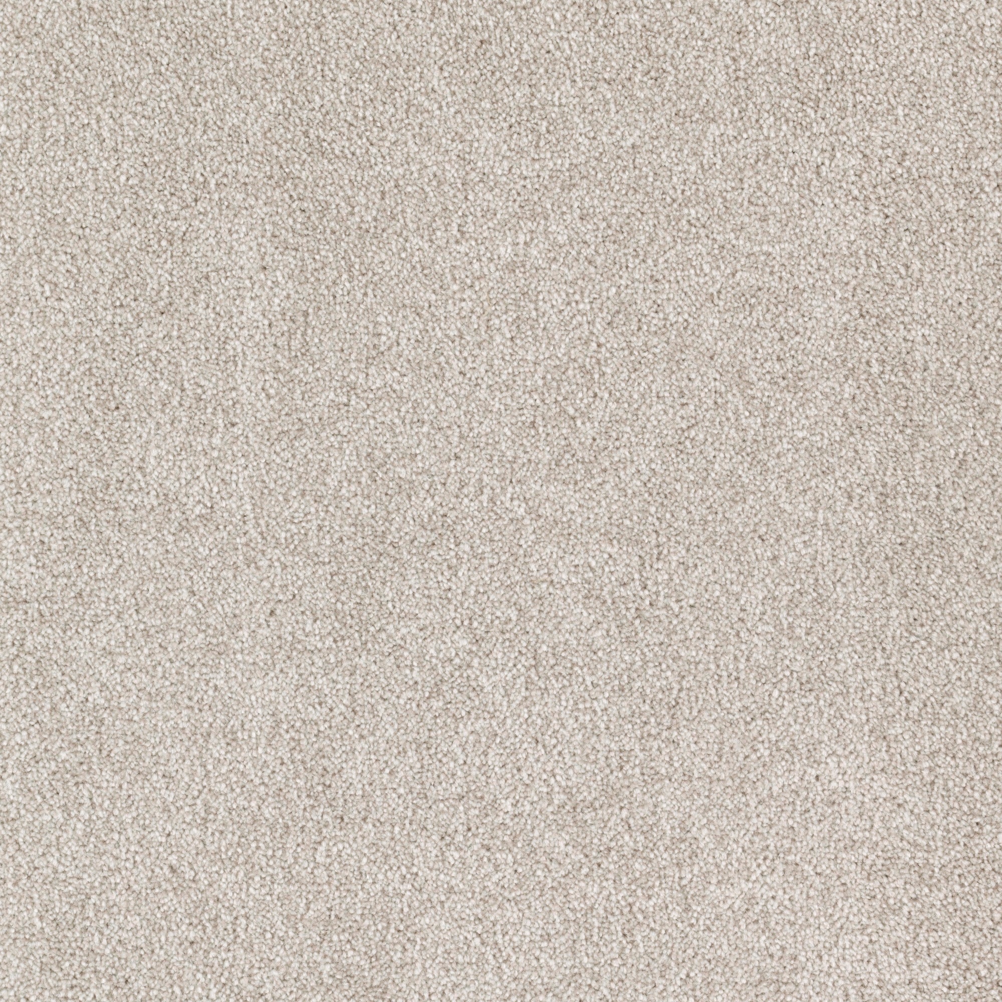 STAINMASTER (Sample) Durable Step I Perfect Taupe Textured Carpet in ...