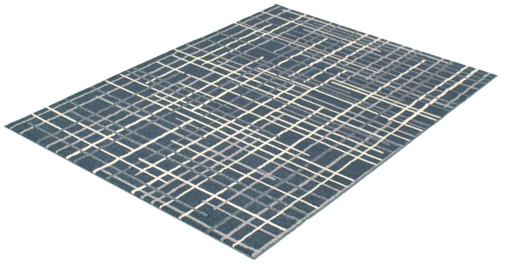 ECARPETGALLERY 315525 rugs - View #4
