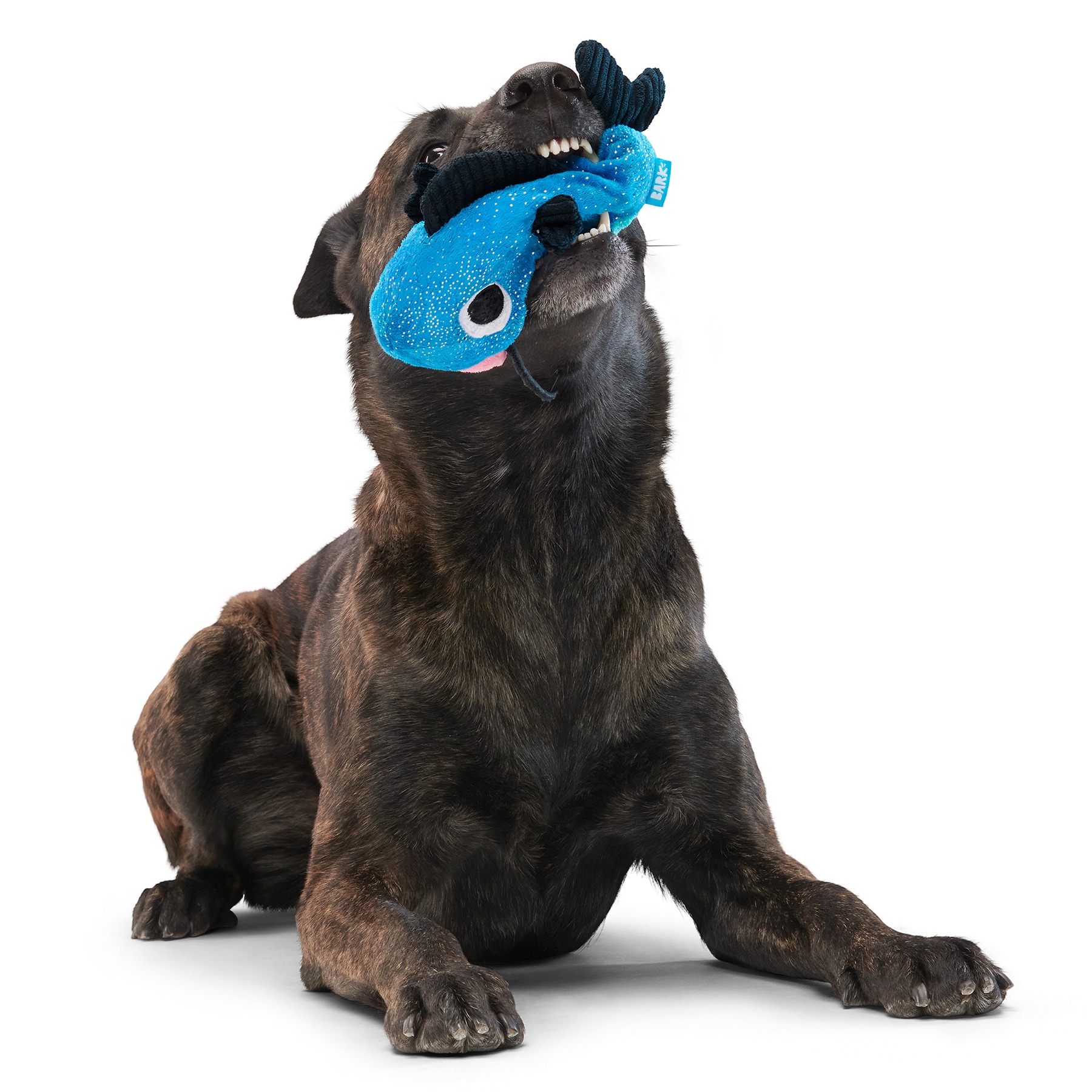 BARK 215915 Dog-Toys - View #3