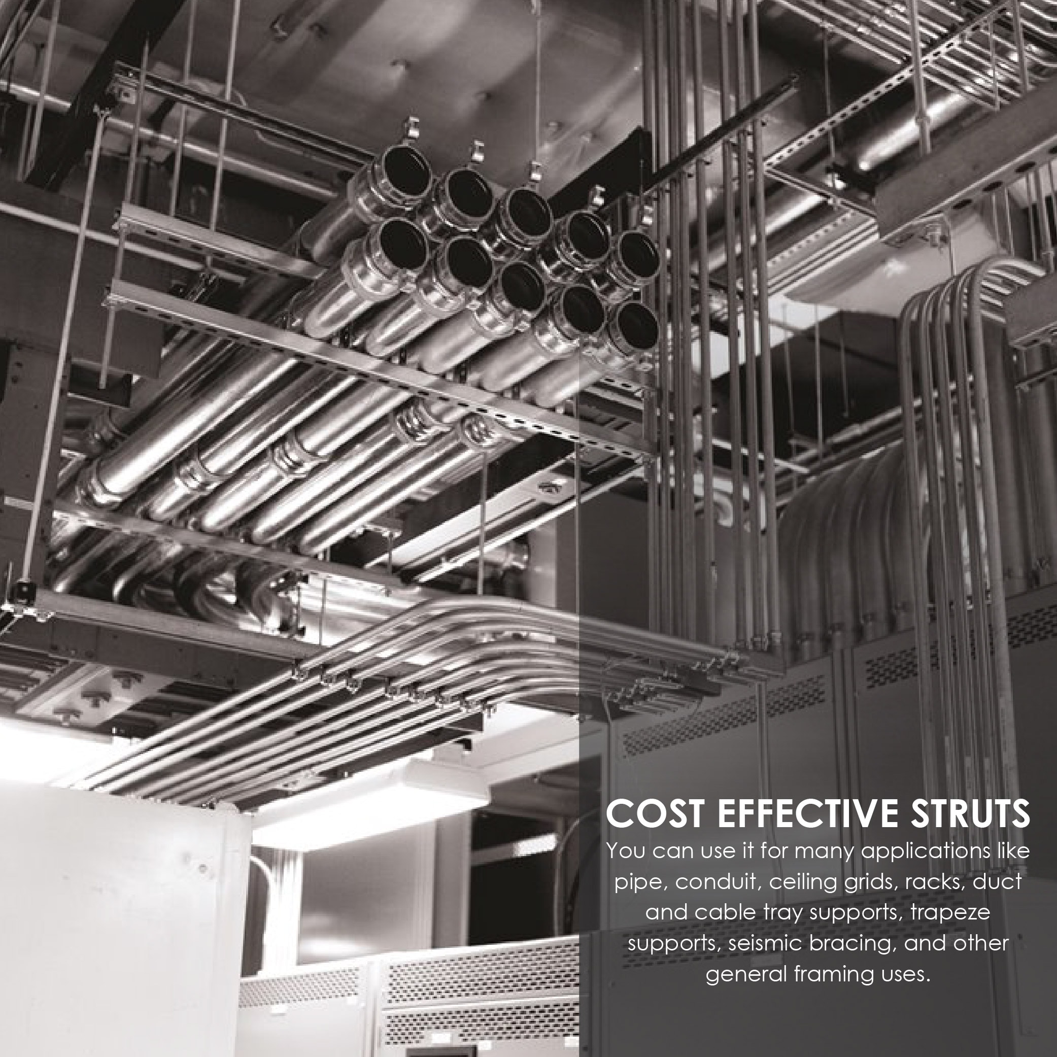 Adamax SC12-10-EG struts - View #5