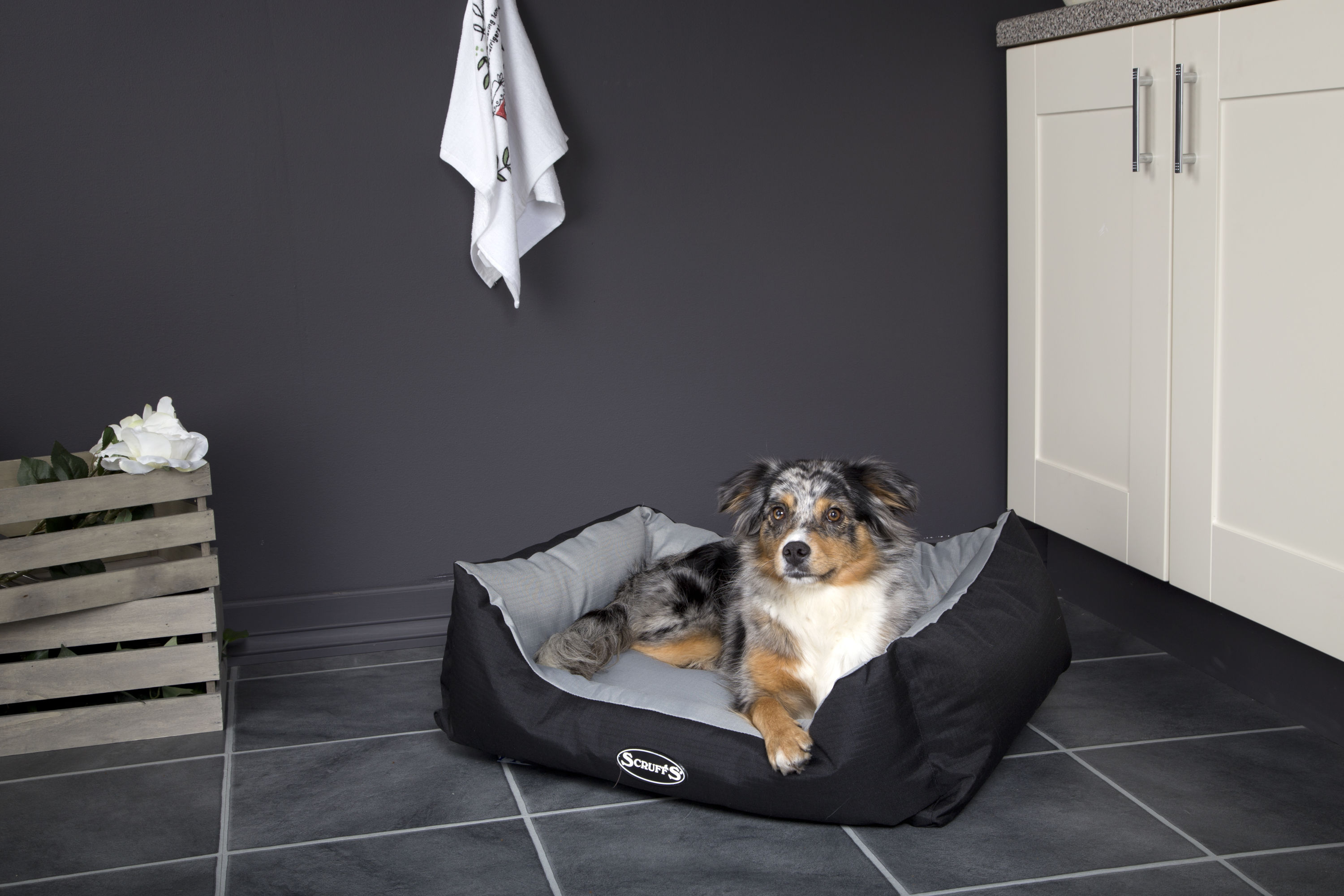 Scruffs BEDRCD677458 Pet-Beds - View #3