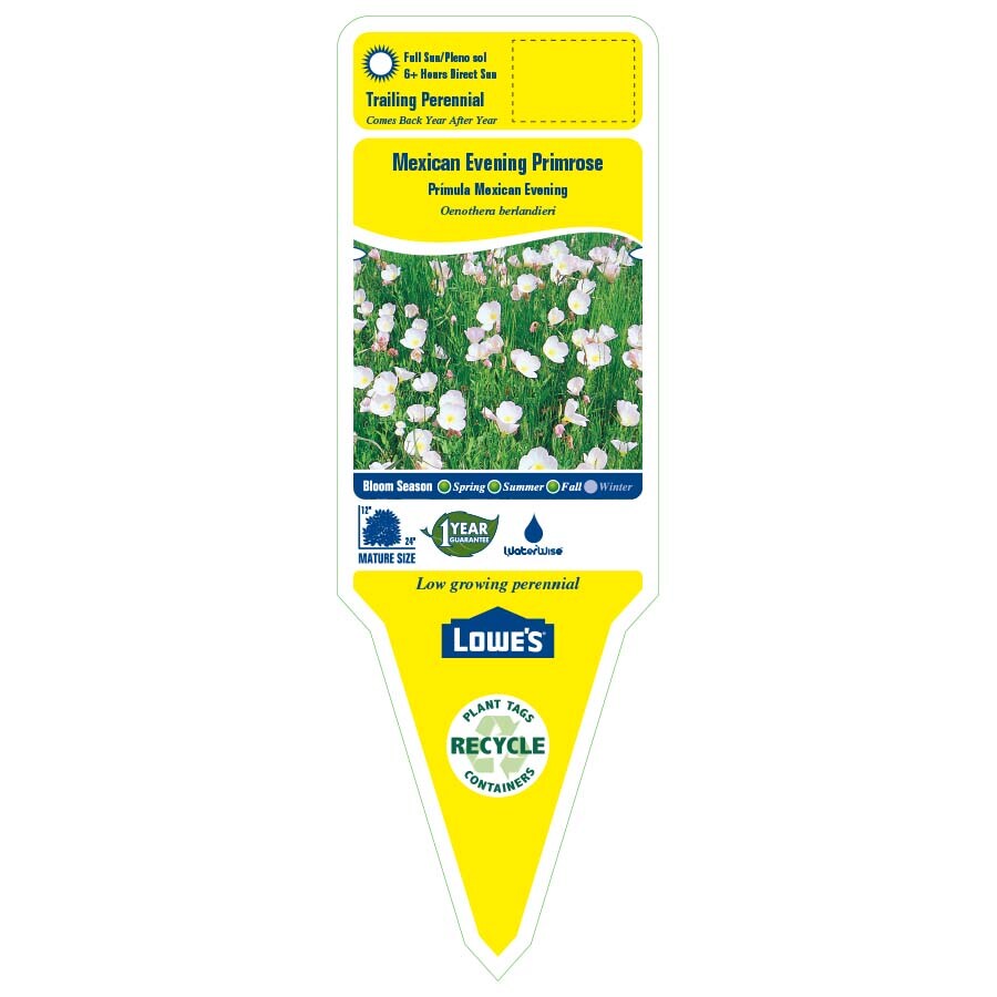 Lowe's 443149 perennials - View #2