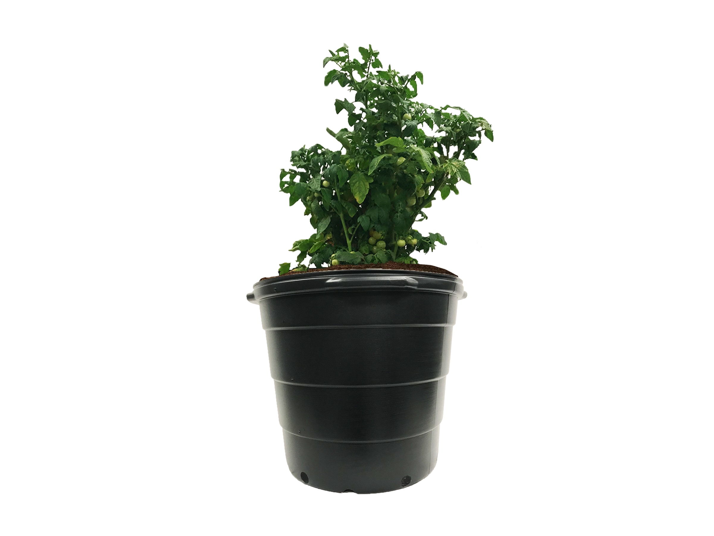 Viagrow VHPP1500-PT Planter-Window-Box - View #5