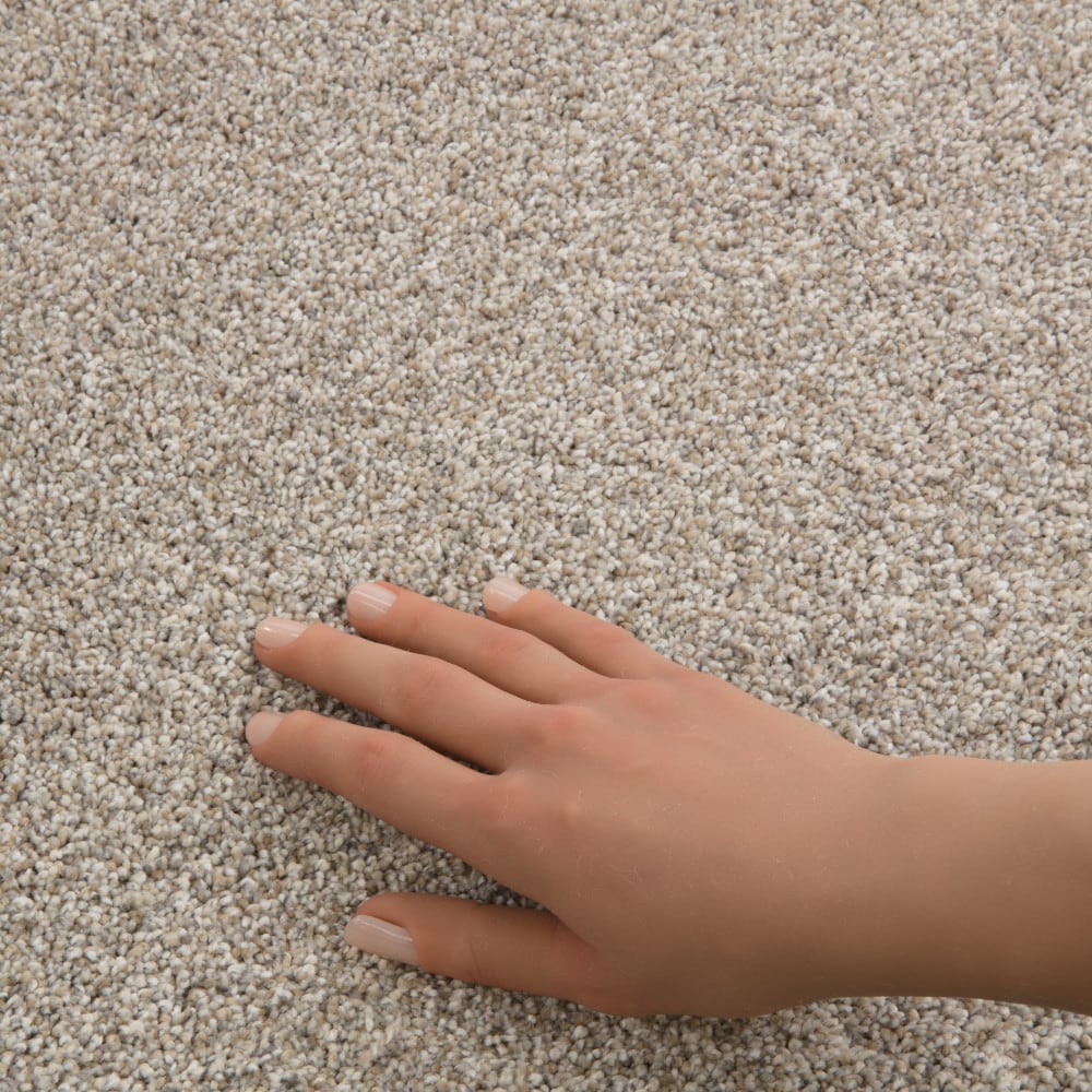 STAINMASTER 7L956-107-SAMP Carpet-Samples - View #4