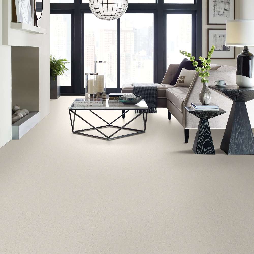 STAINMASTER 7L79100100 Carpet-Panel - View #3