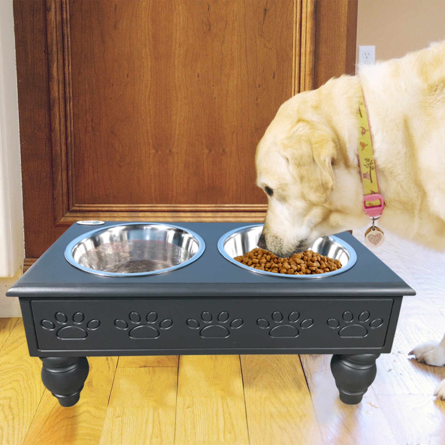 Iconic Pet 64-oz Stainless Steel Dog Elevated Feeder in the Feeders  department at