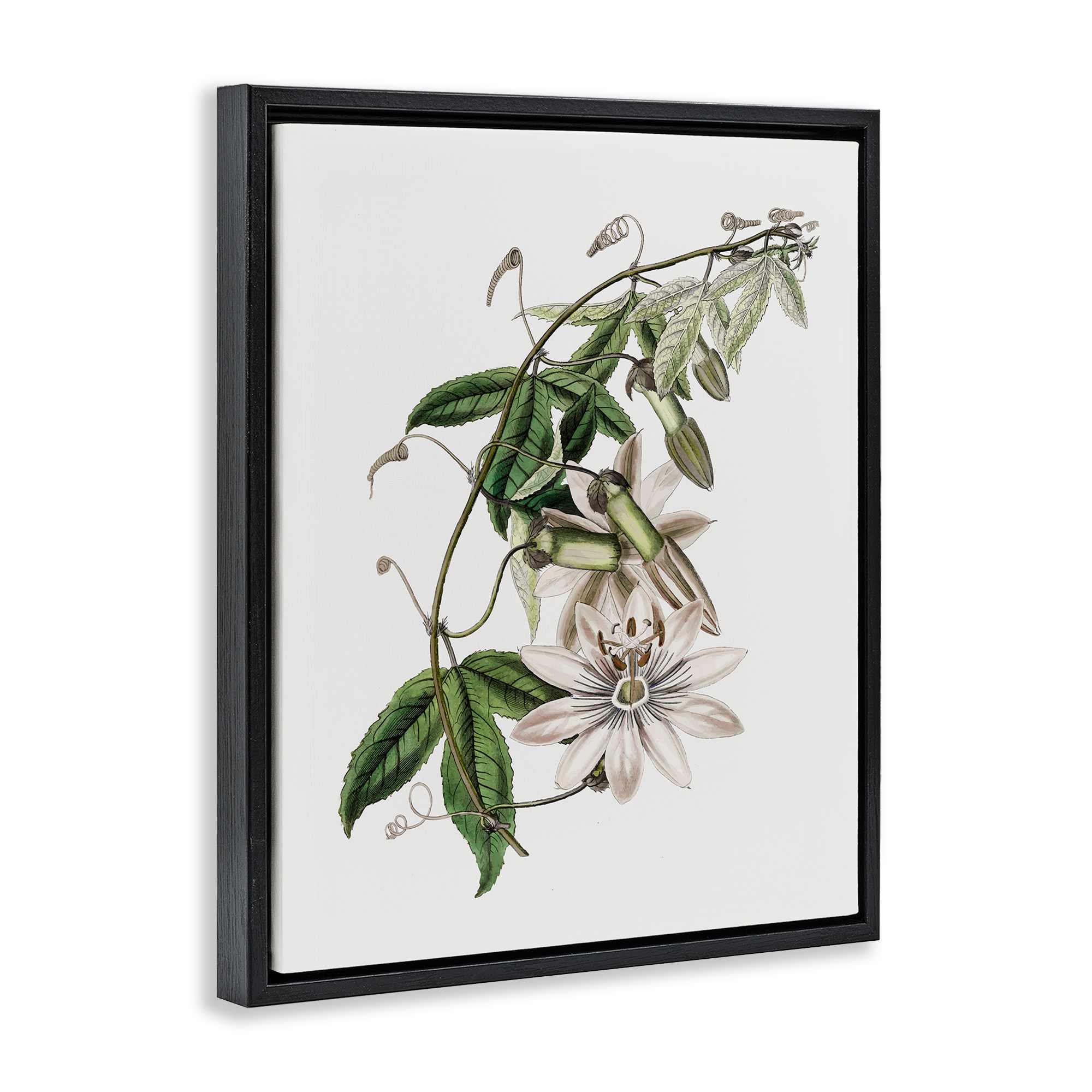 Stupell Industries BS-206-FFB-24X30 Wall-Art - View #2