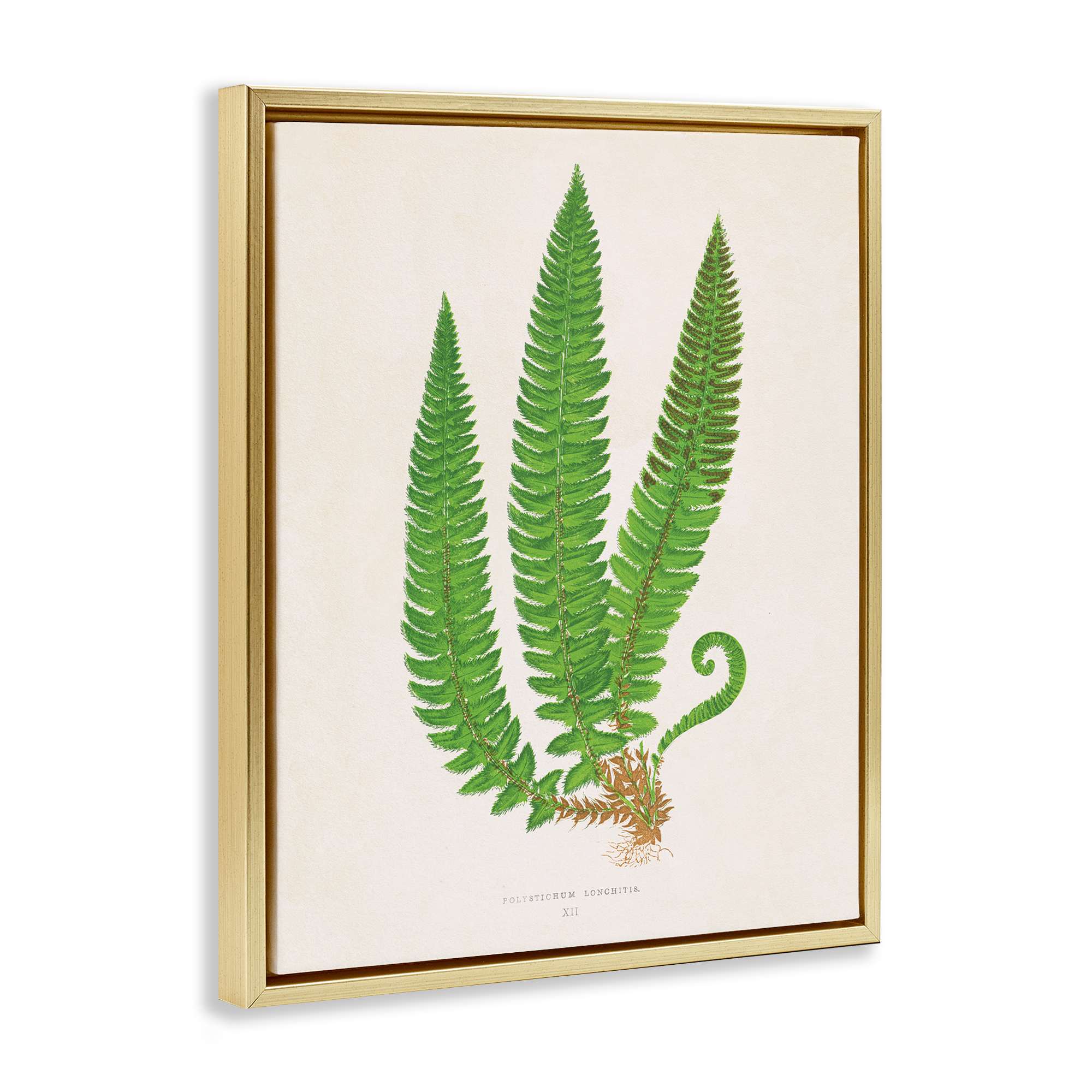 Stupell Industries BT-470-FFG-16X20 Wall-Art - View #2