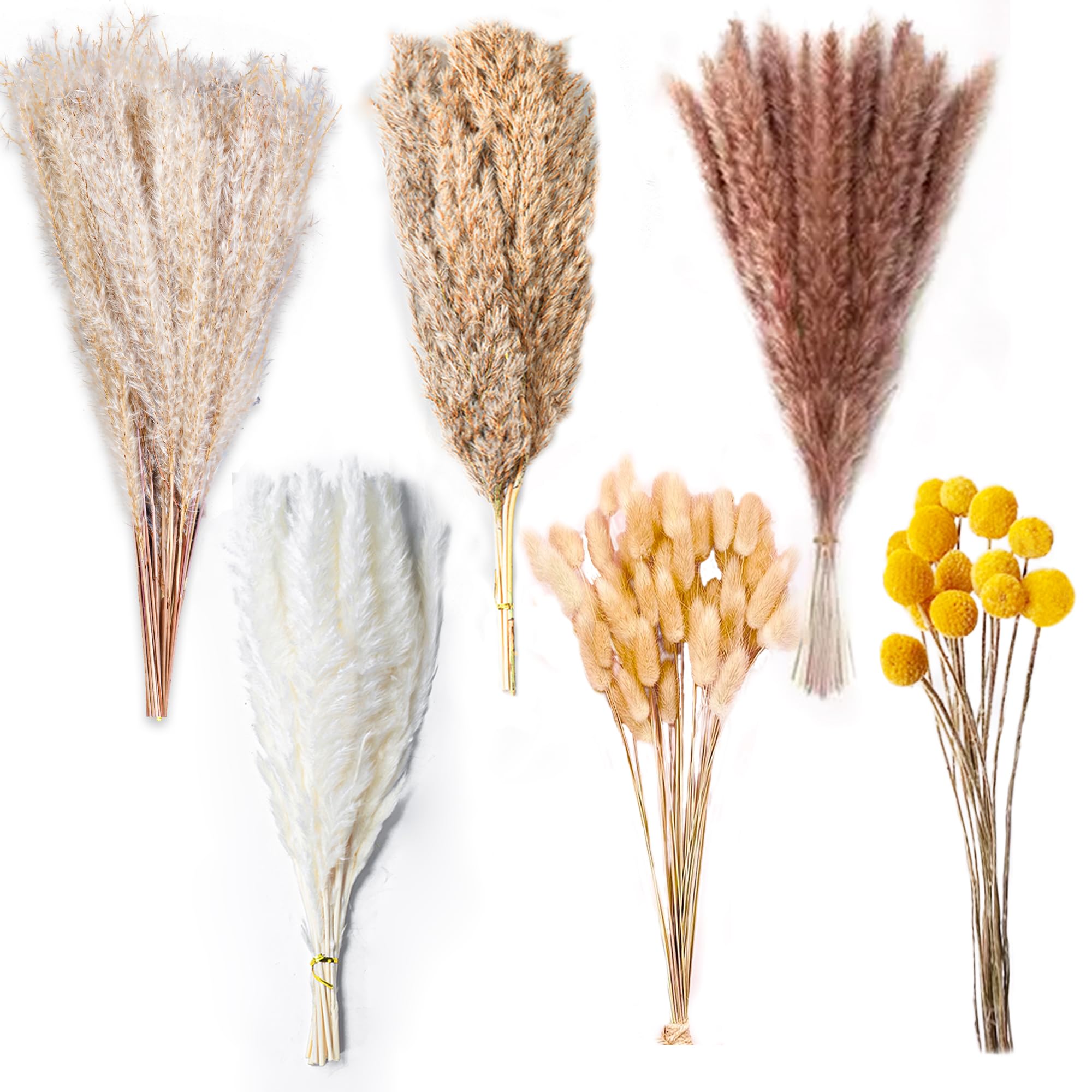 Astro Turf Rabbit Etokfoks 100 pack natural dried pampas grass decor 17 5 in fluffy mixed ...
