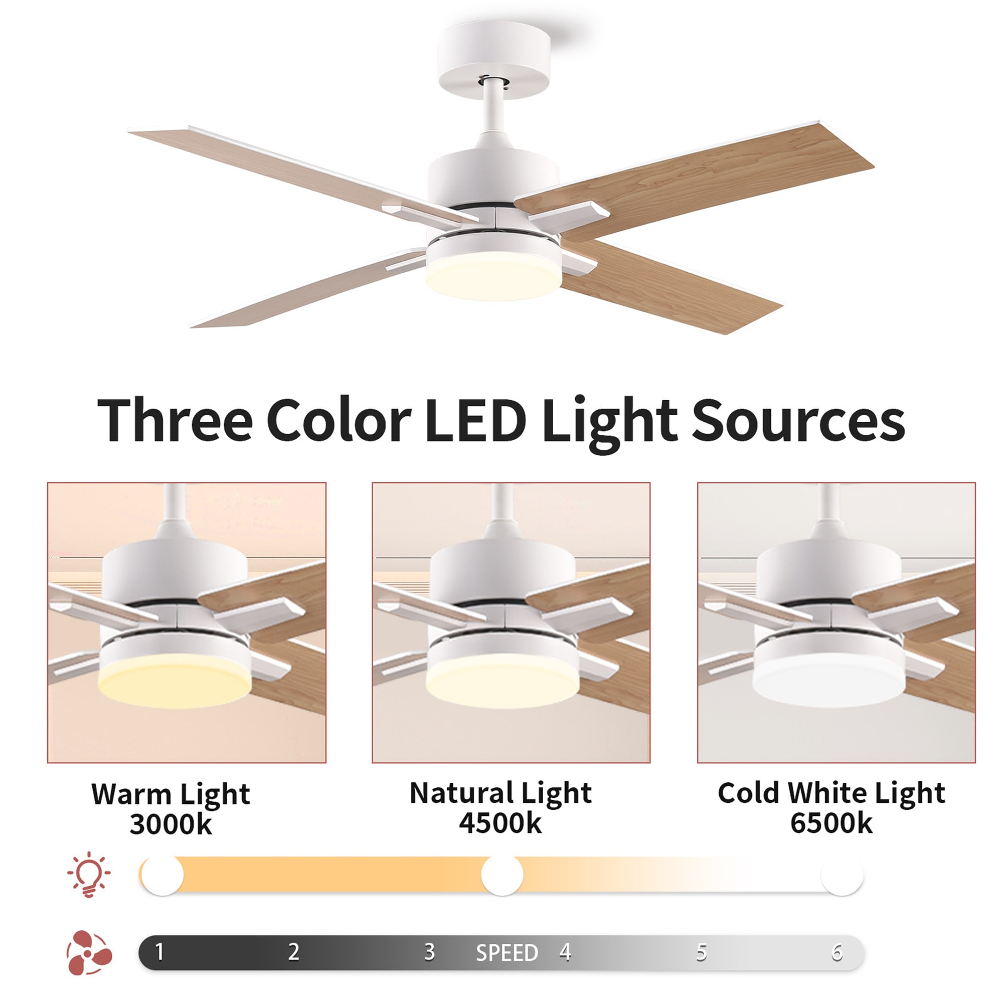Sunrinx MG65-2-FSD Ceiling-Fans - View #10