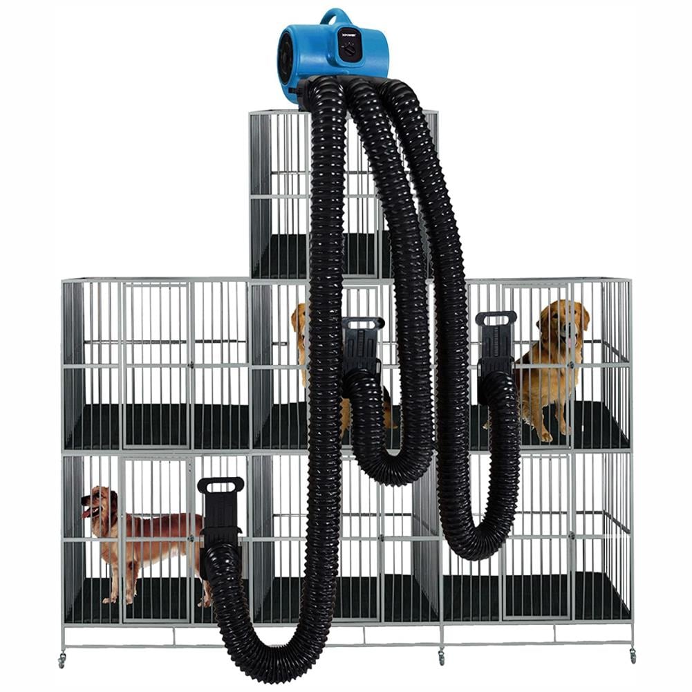 are cage dryers safe for dogs