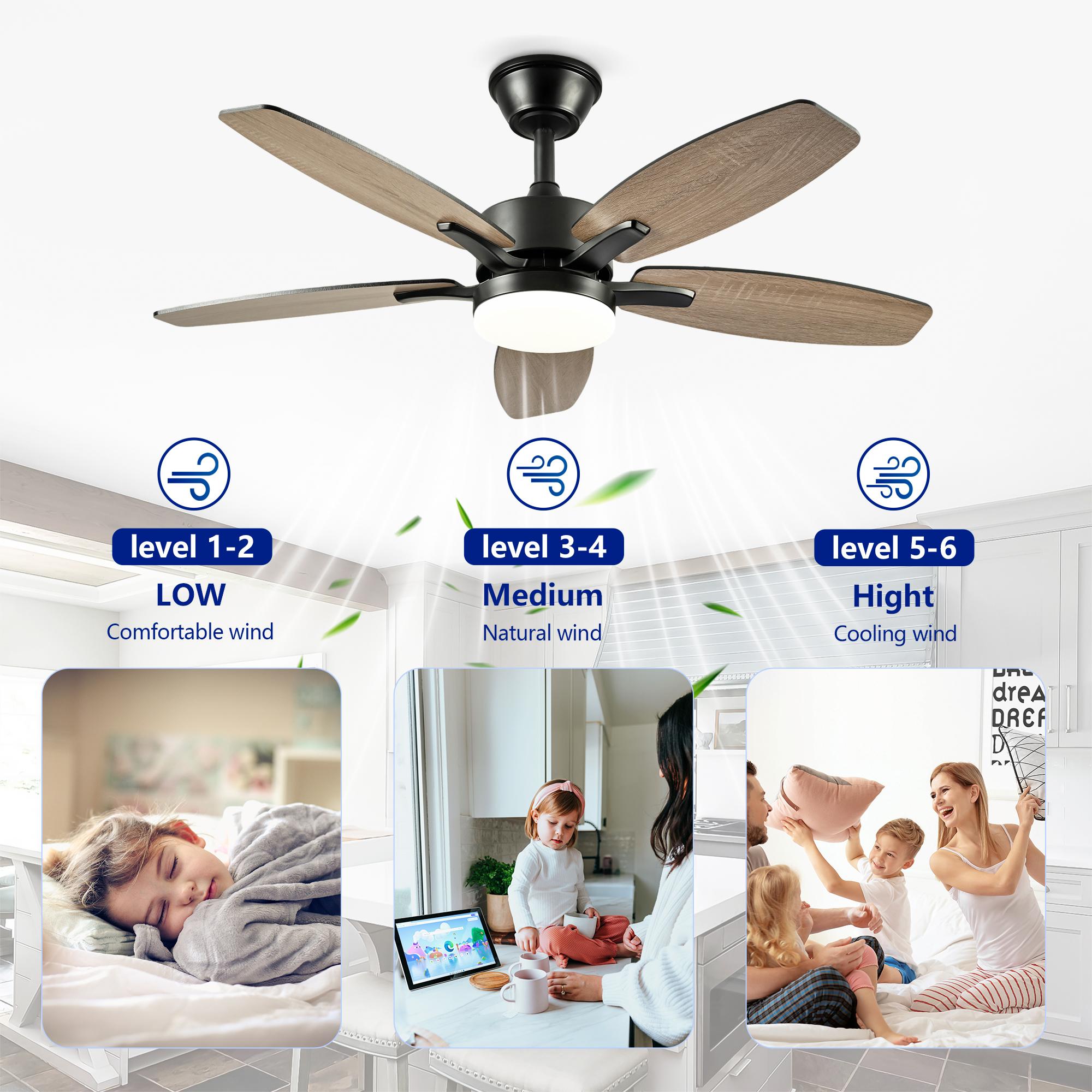 Bayfeve BF-462053-MP Ceiling-Fans - View #10