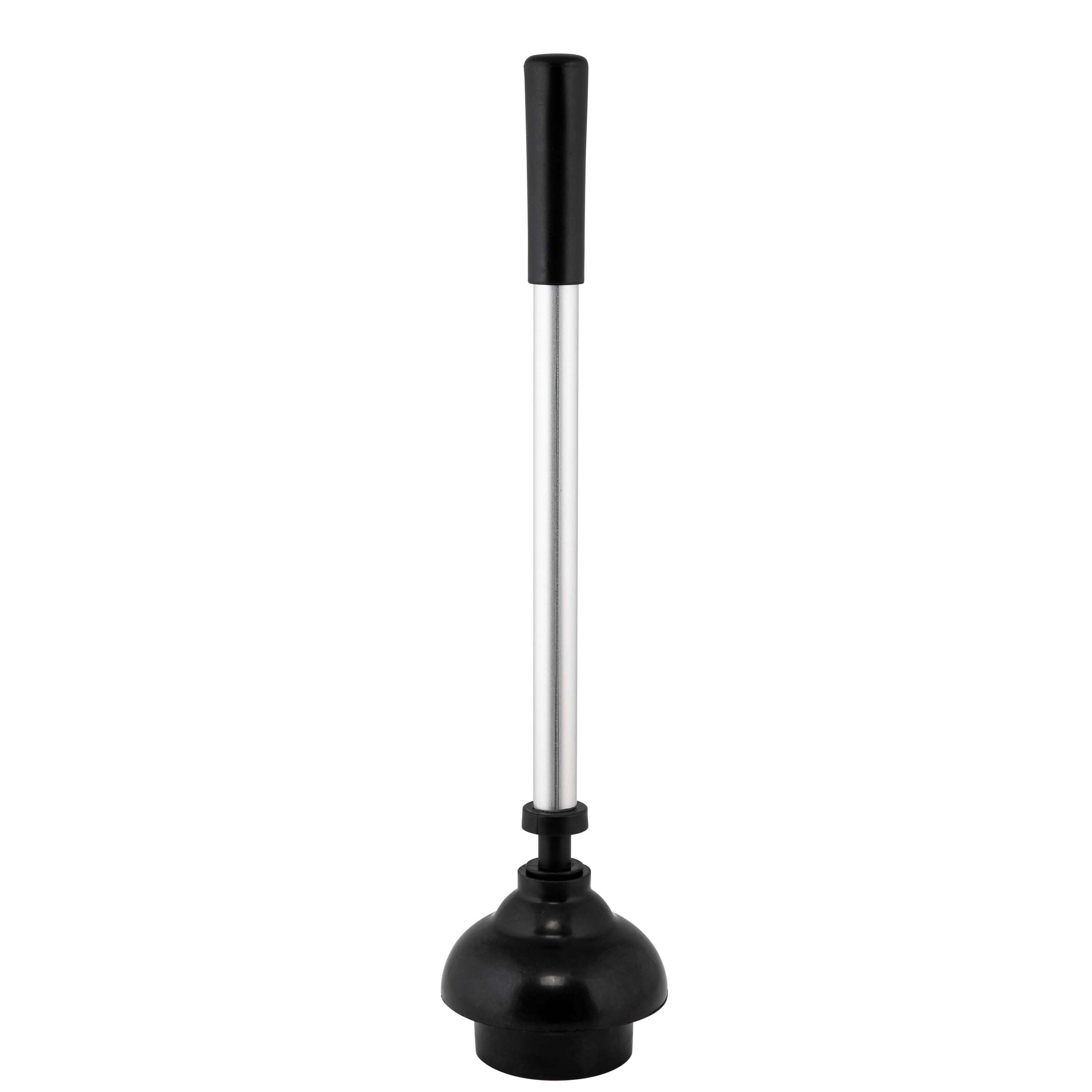 Bath Bliss Bath Bliss 2-in-1 Toilet Brush and Plunger Set in Stainless  Steel in the Toilet Brush Holders department at
