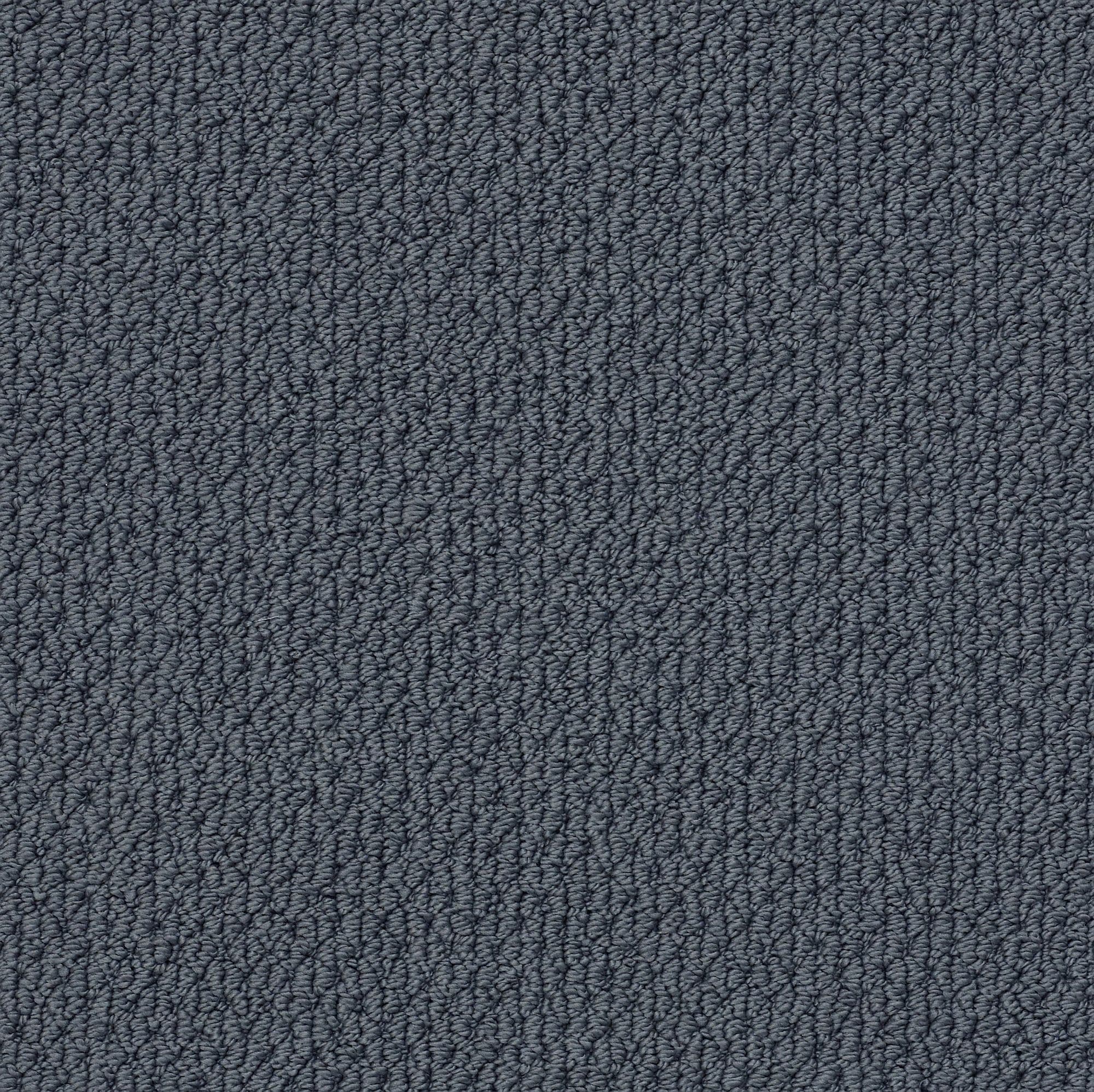 STAINMASTER 7L87300447 Regenerating Blustery Sky Blue 34.1-oz sq yard Nylon Level loop Indoor Carpet