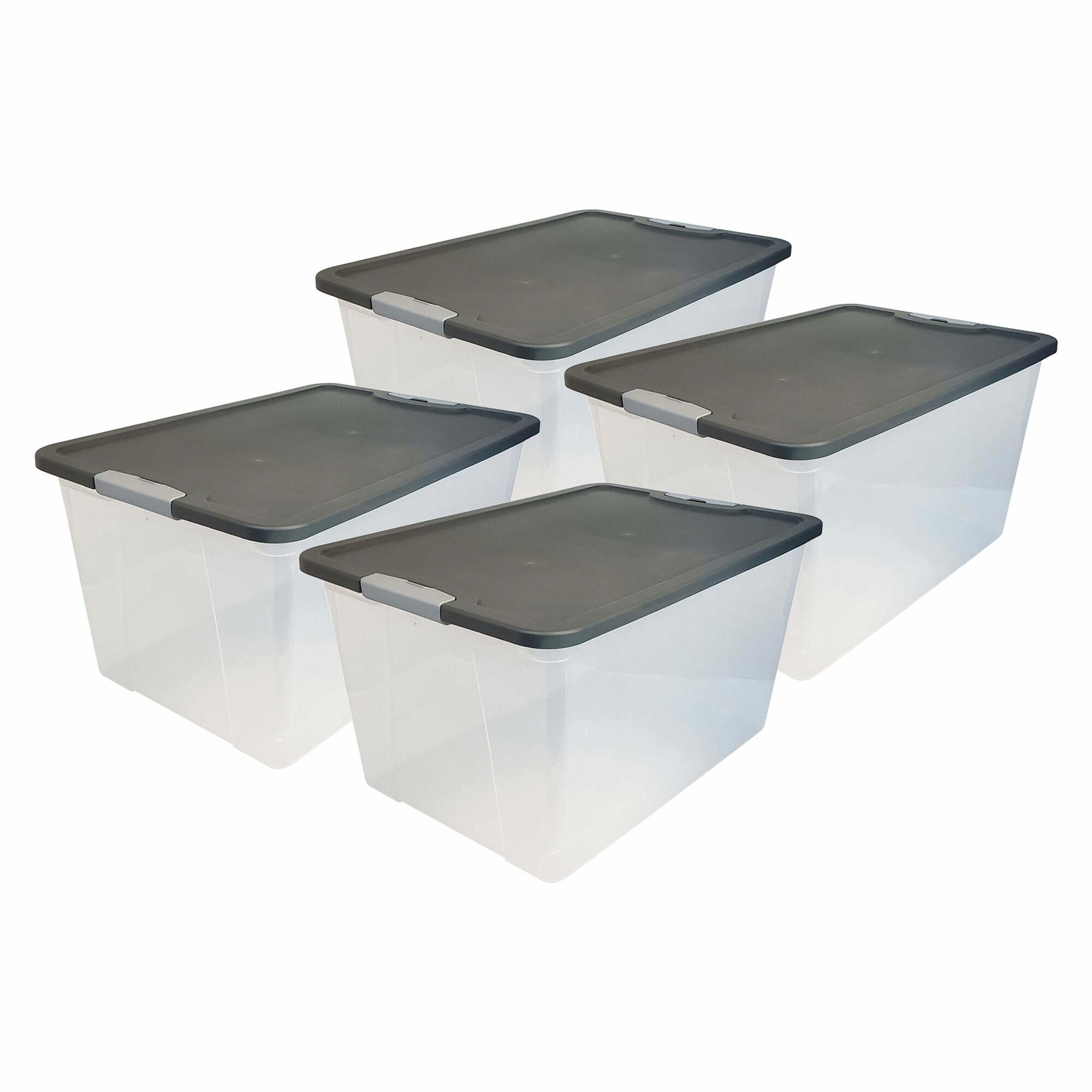 Triton Food Storage Bulk Case 24