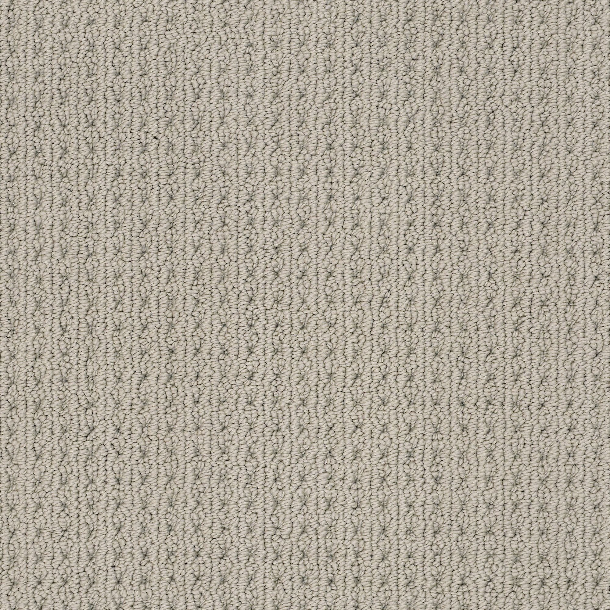 STAINMASTER 7L874 - 172 - SAMP (Sample) Revitalized Portico Brown 34.1-oz sq yard Polyester Textured Indoor Carpet