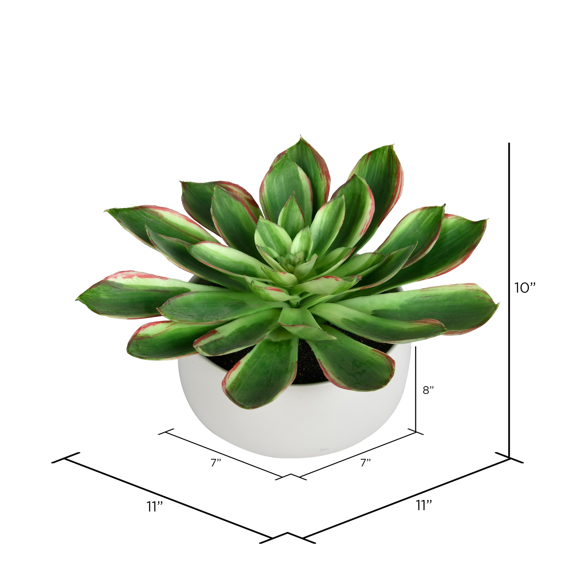 Vickerman FU190710 Artificial-Plants-Trees - View #3