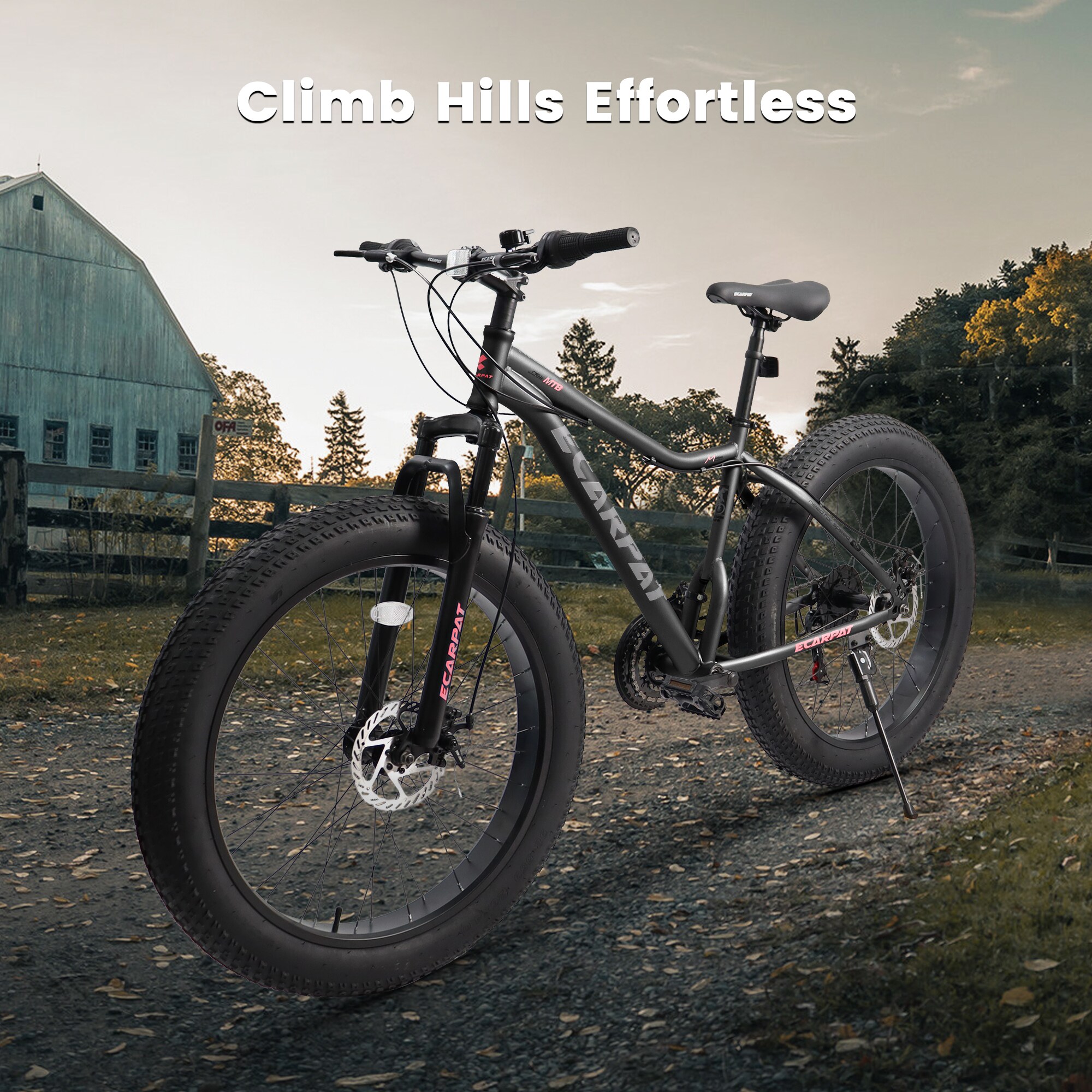 Damerin BNT-1856-05 bikes - View #4