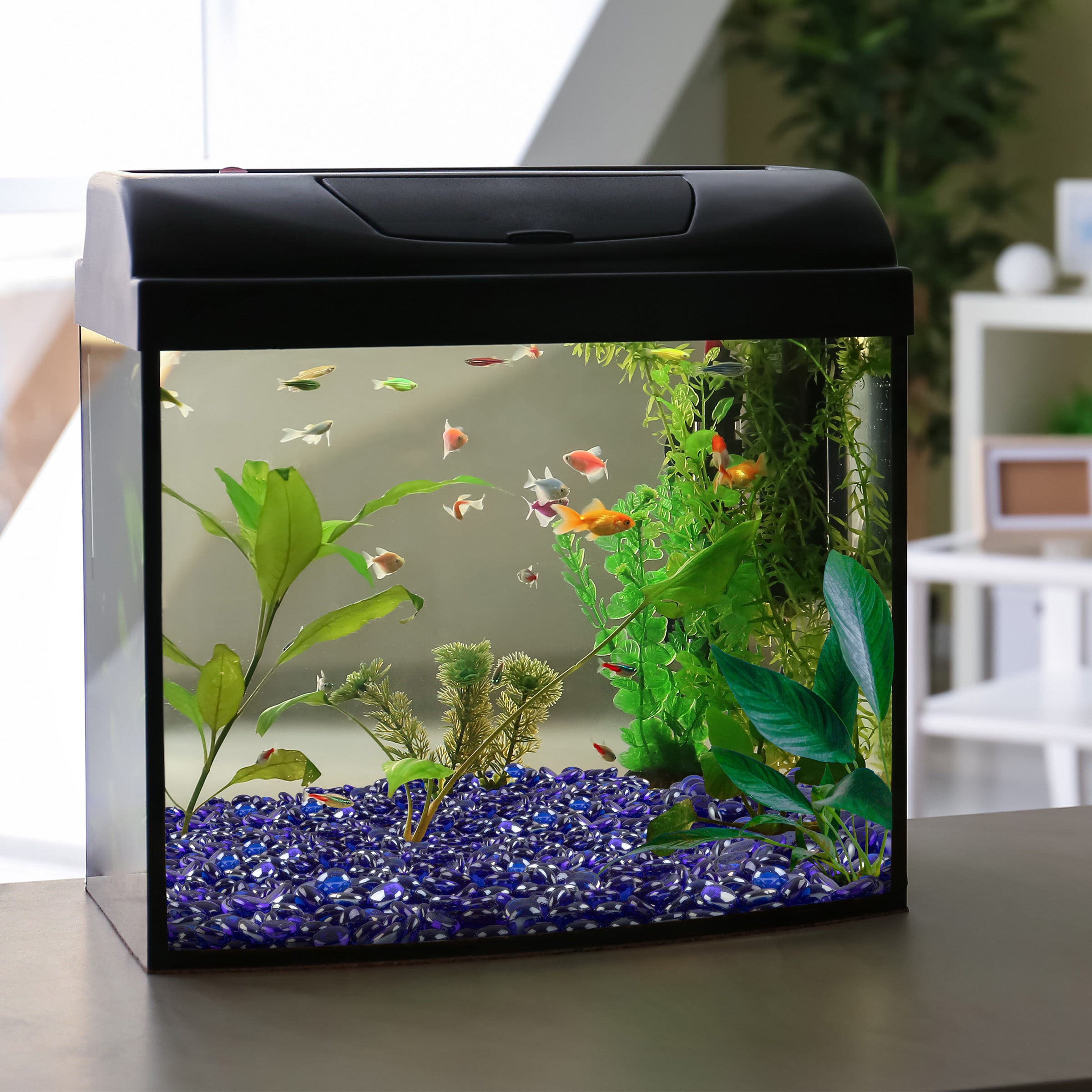 Home Complete 50-T1379 Fire-Glass - View #8