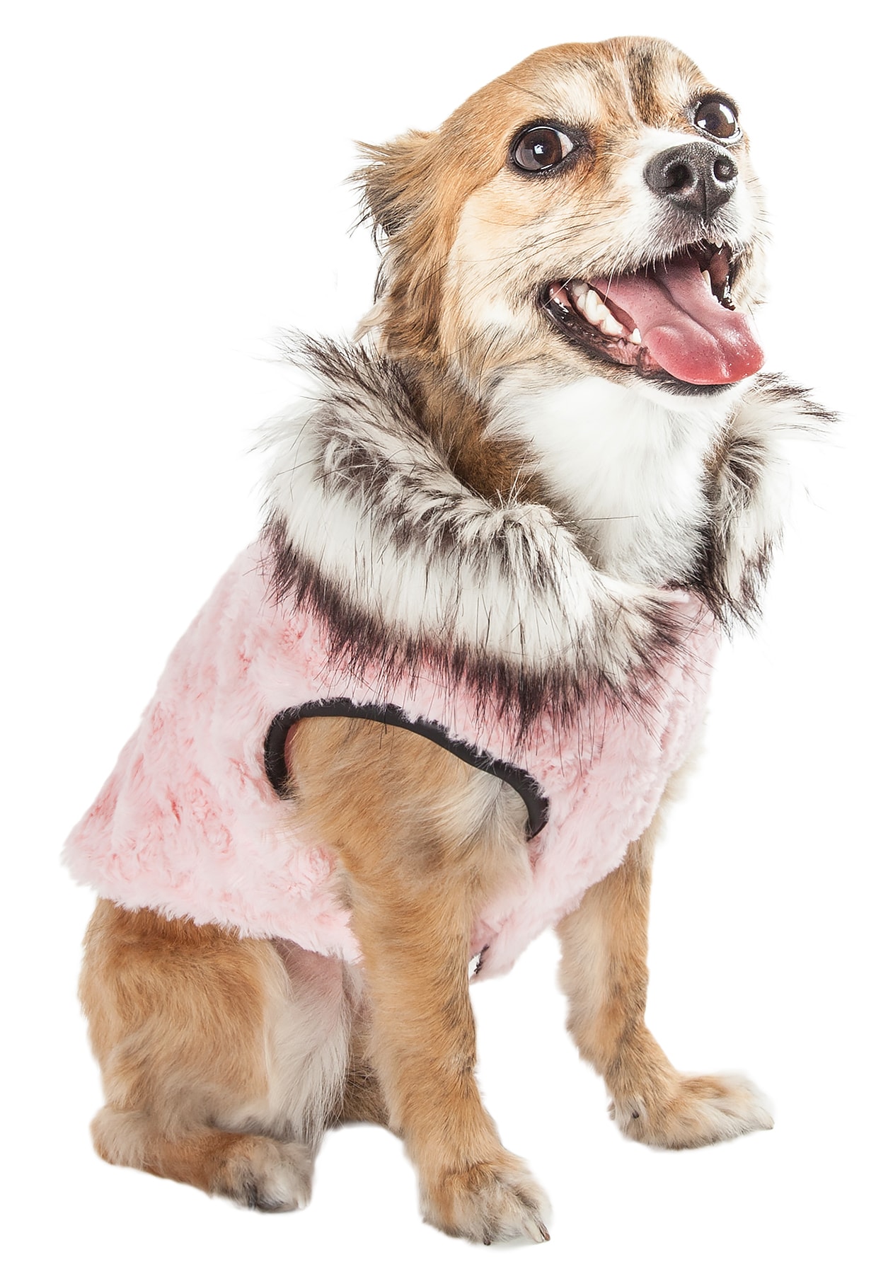 Pet Life 45PKMD Dog-Apparel - View #2
