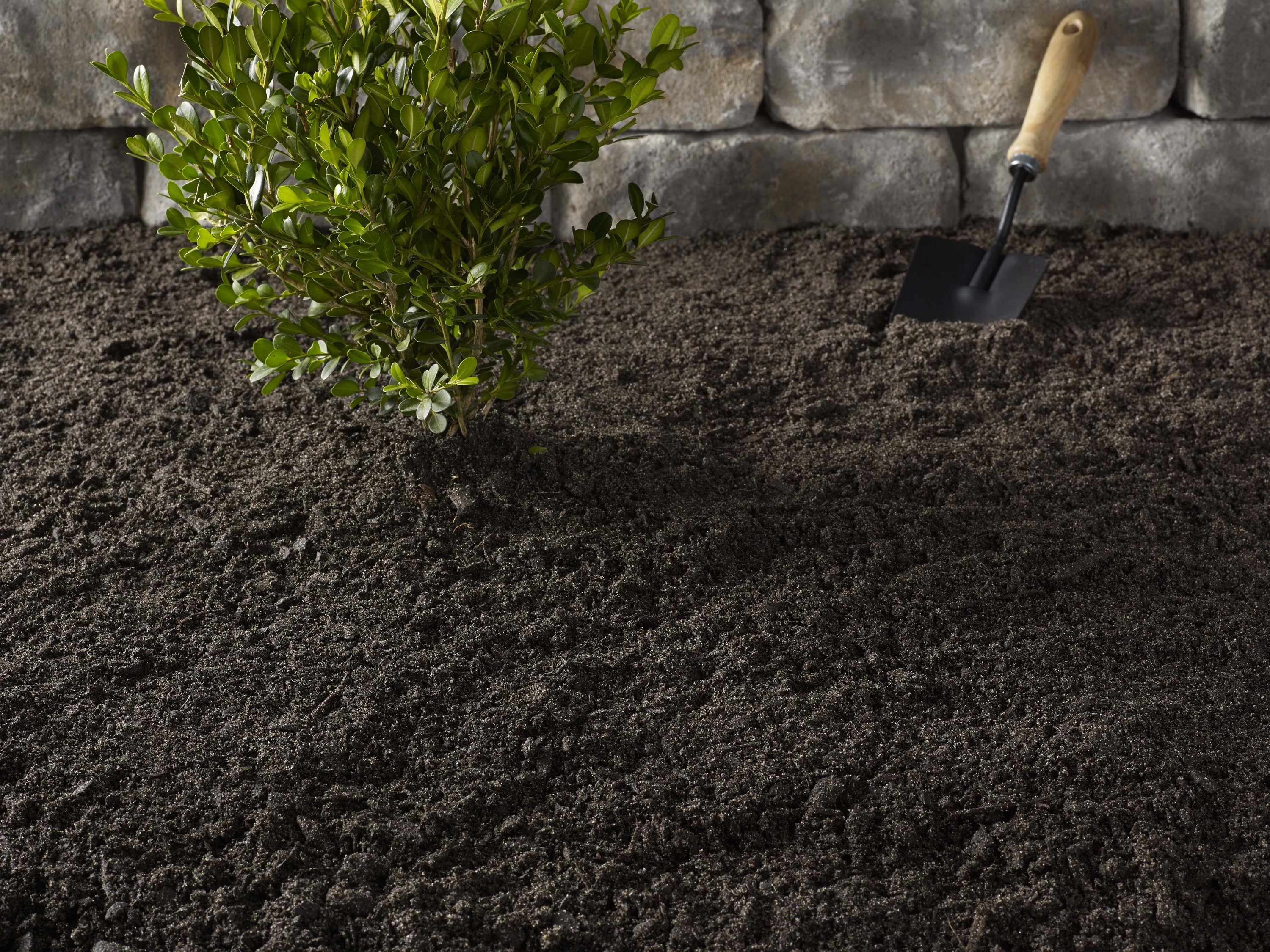 Black Kow 00051524602218 Garden-Soil-Soil-Amendments - View #4