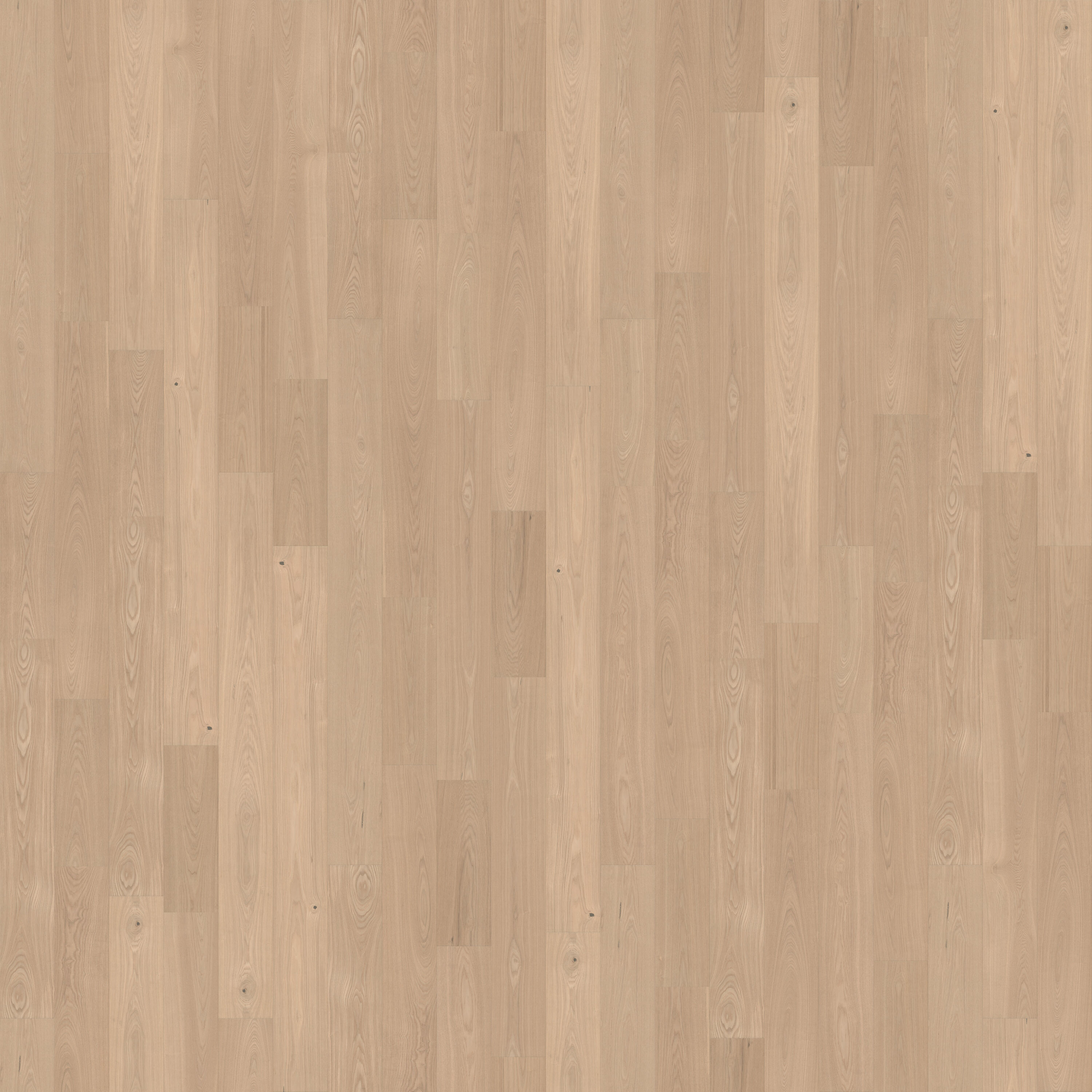 CALI 7601100800 Varietals Clarified Ash Ash 7-1/2-in W x 1/2-in T x 74-51/64-in Engineered Hardwood Flooring ( 23.31-sq ft / Carton )