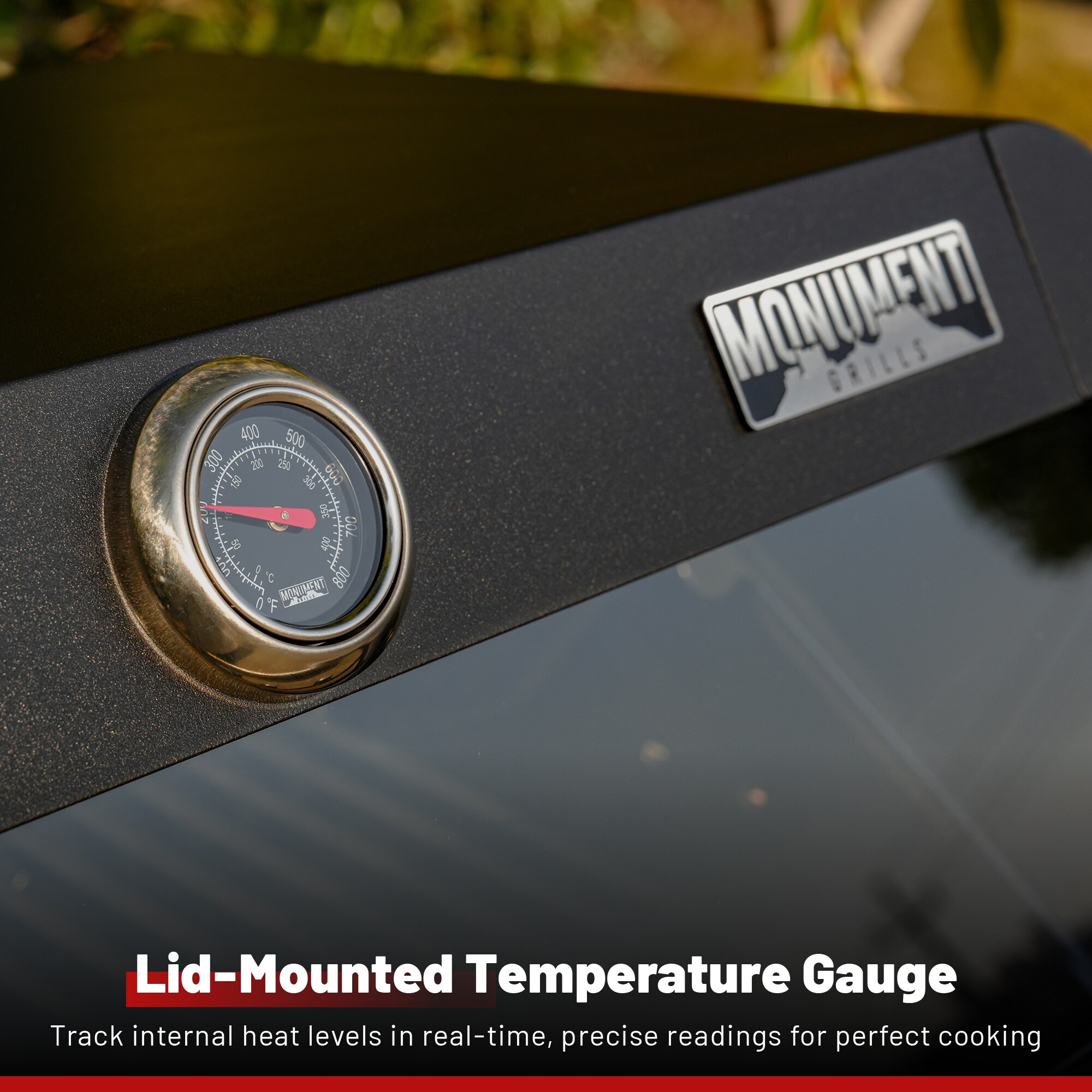 Monument M320 Gas-Grill - View #7