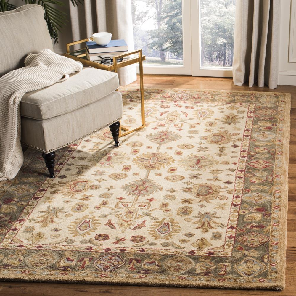 Safavieh AN547B-4 rugs - View #2