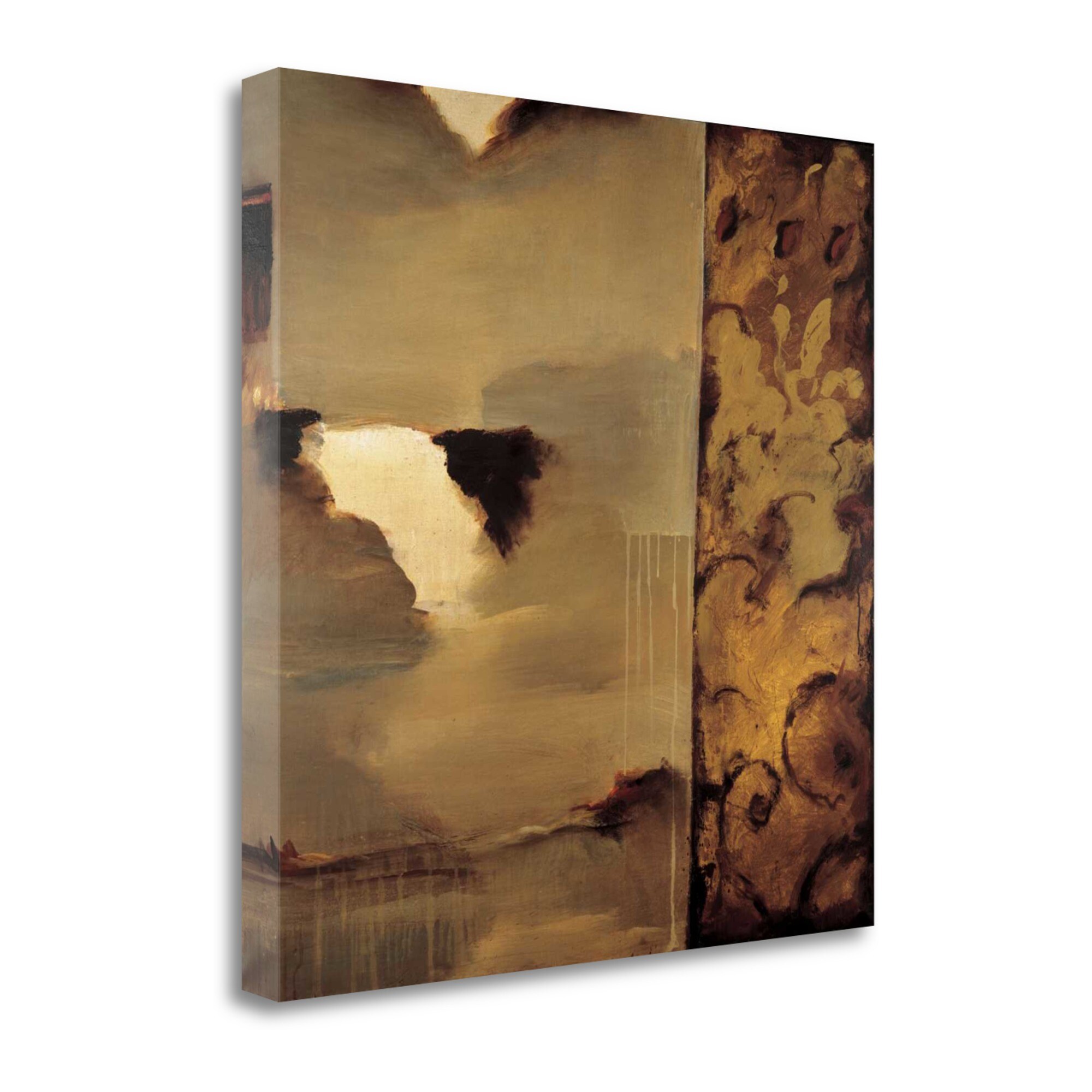 Tangletown Fine Art CAJDP305-2525C Cascade Denis Jully 25-in H x 25-in W Abstract Print on Canvas