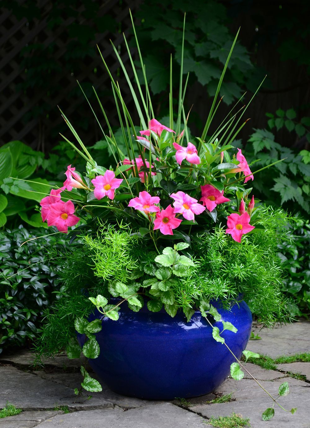 2782 perennials - View #2