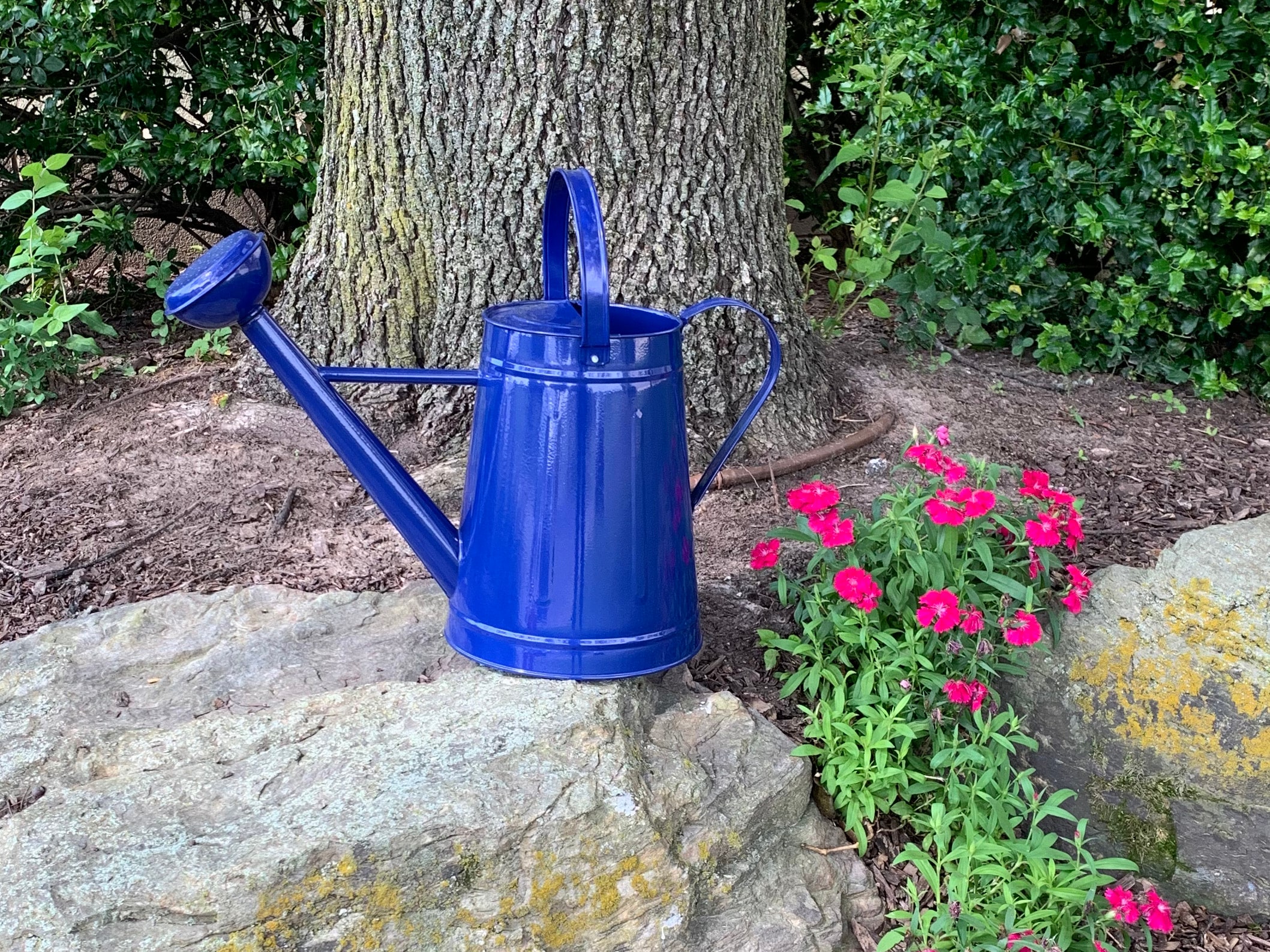  36-5180B Watering-Cans - View #3